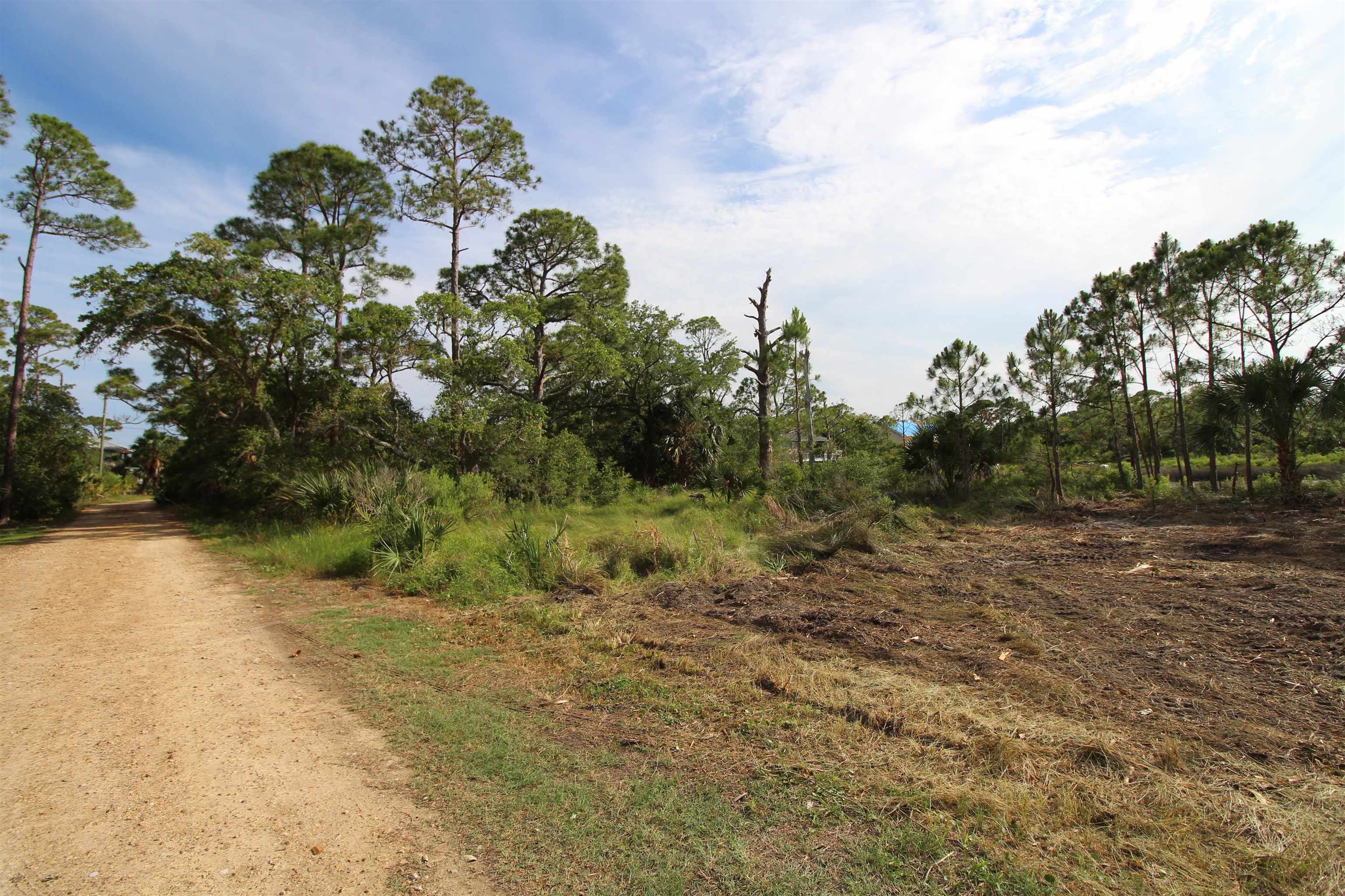 20 George Vause Road, Alligator Point, Florida image 3