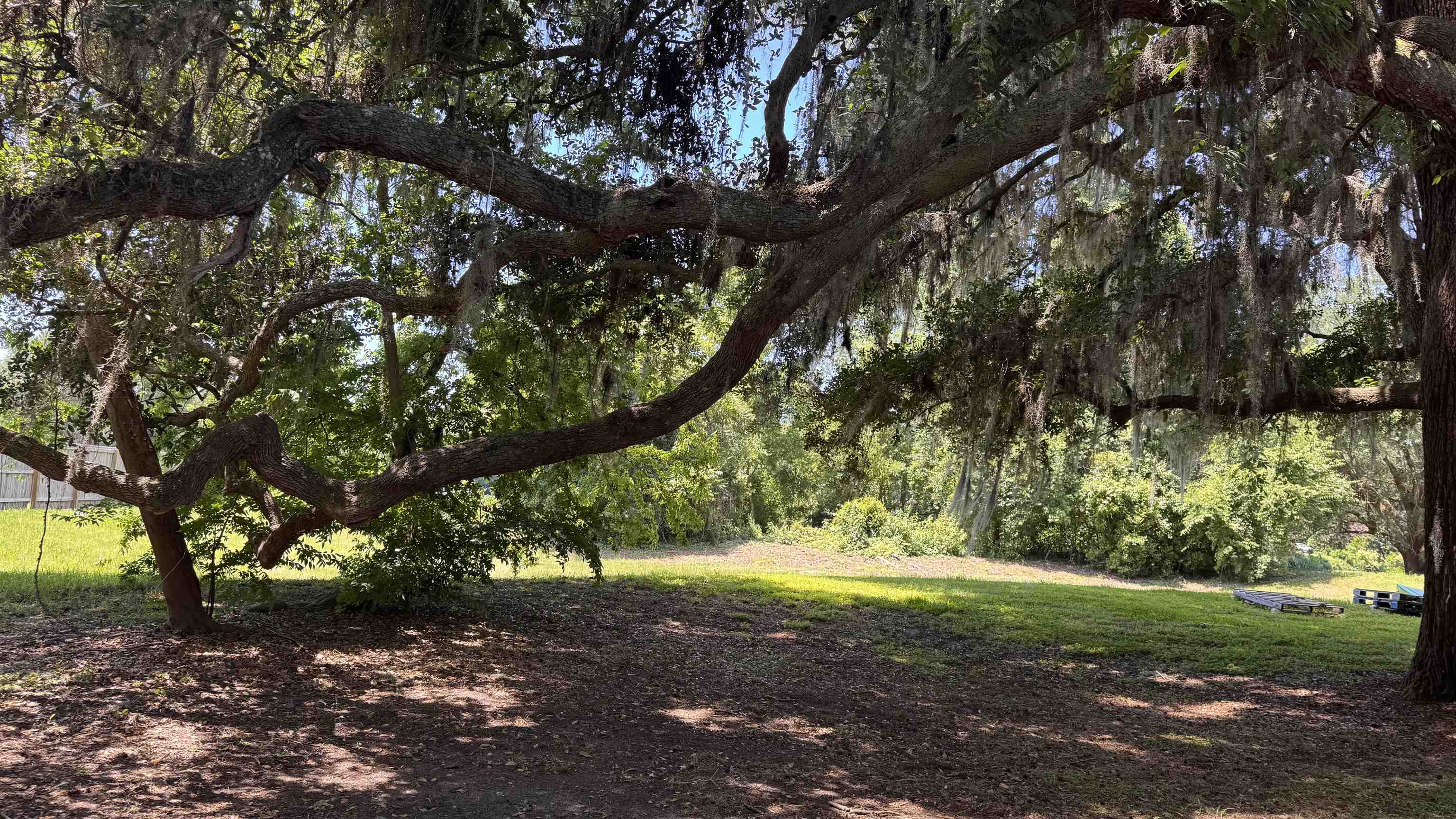 4417 Siesta Court, Tallahassee, Florida image 31