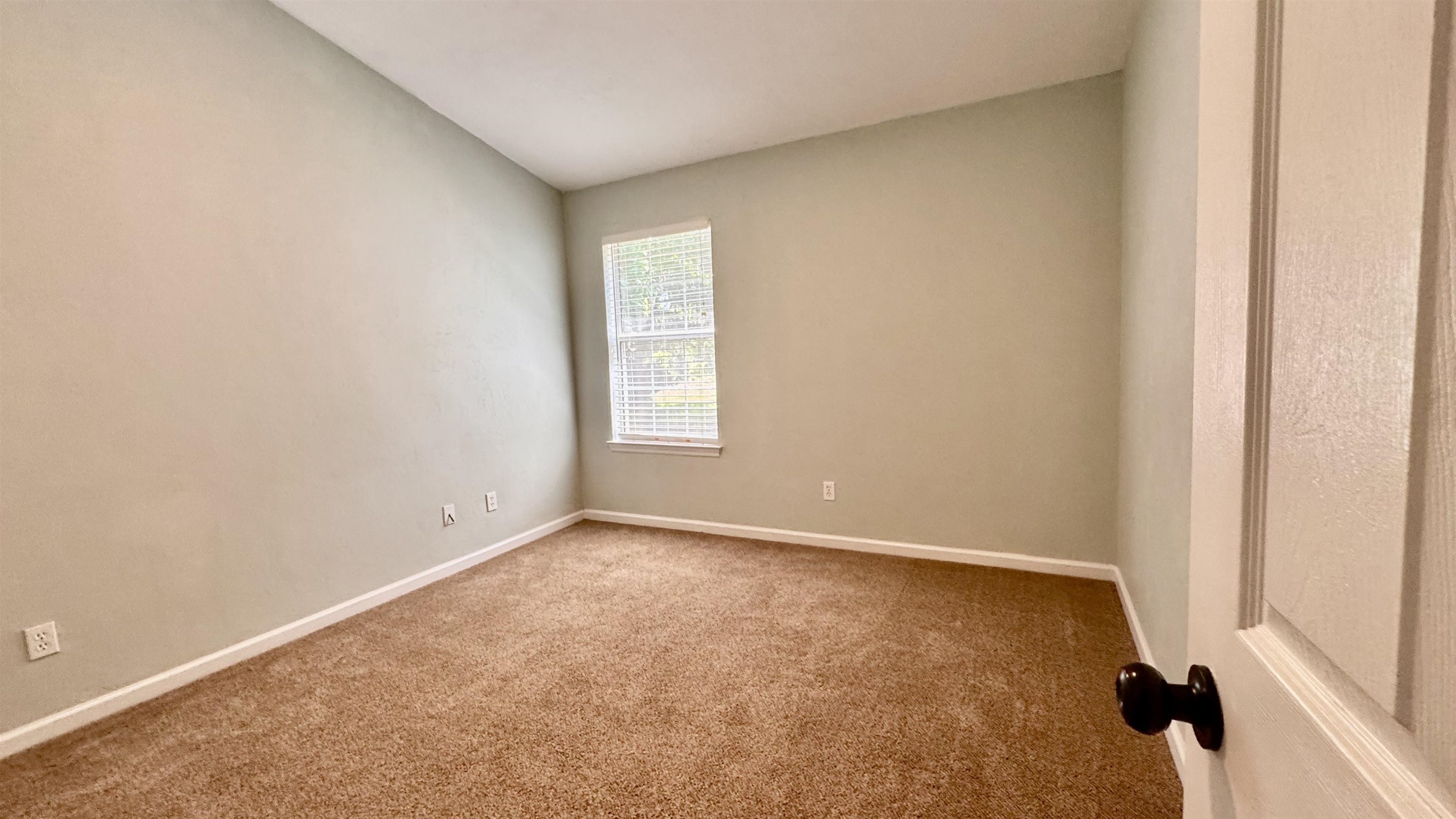 4417 Siesta Court, Tallahassee, Florida image 5