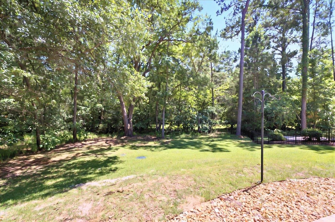 2451 Bass Bay Drive, Tallahassee, Florida image 42