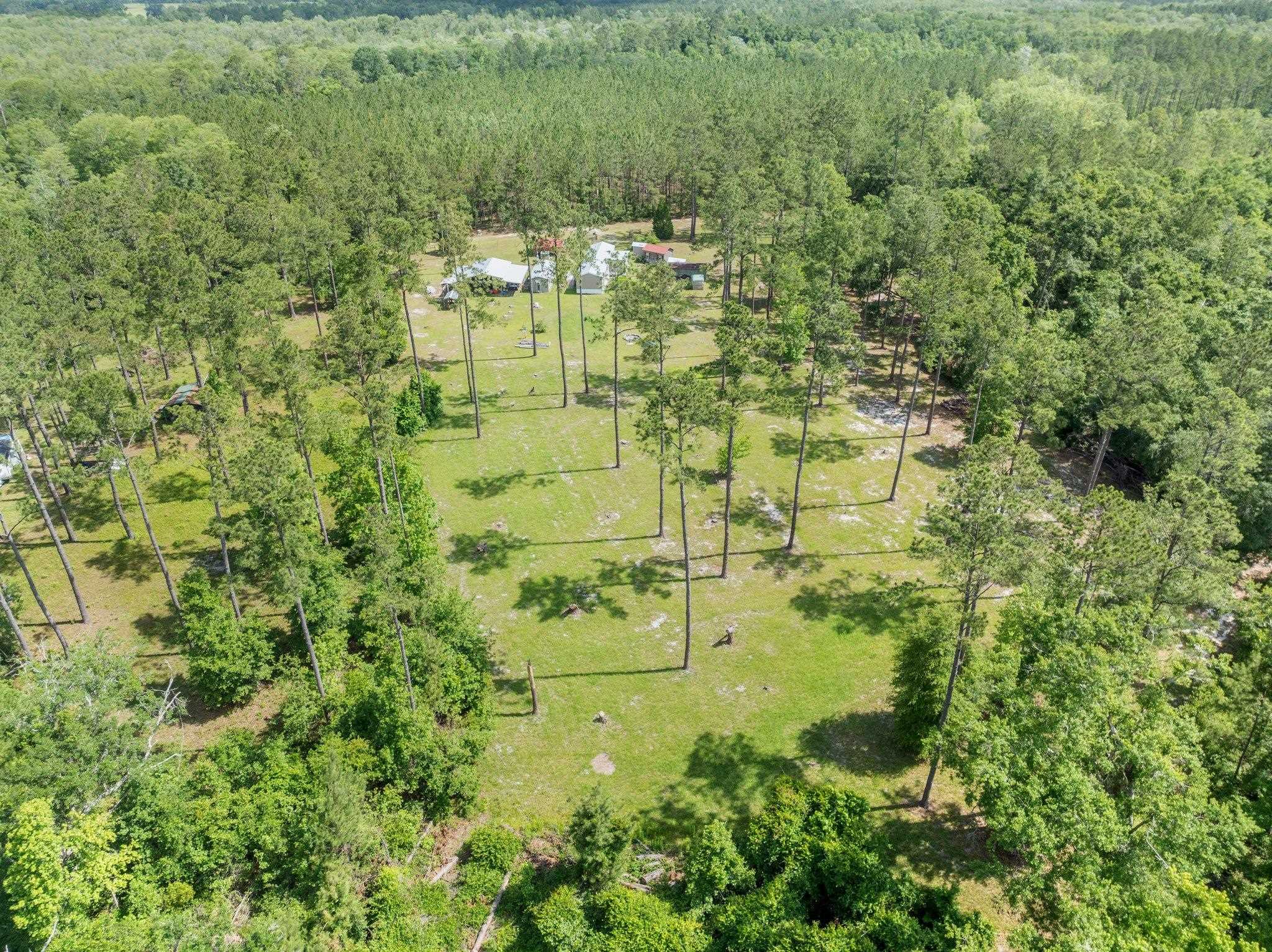 1000 Bishop Farm Road, Monticello, Florida image 36