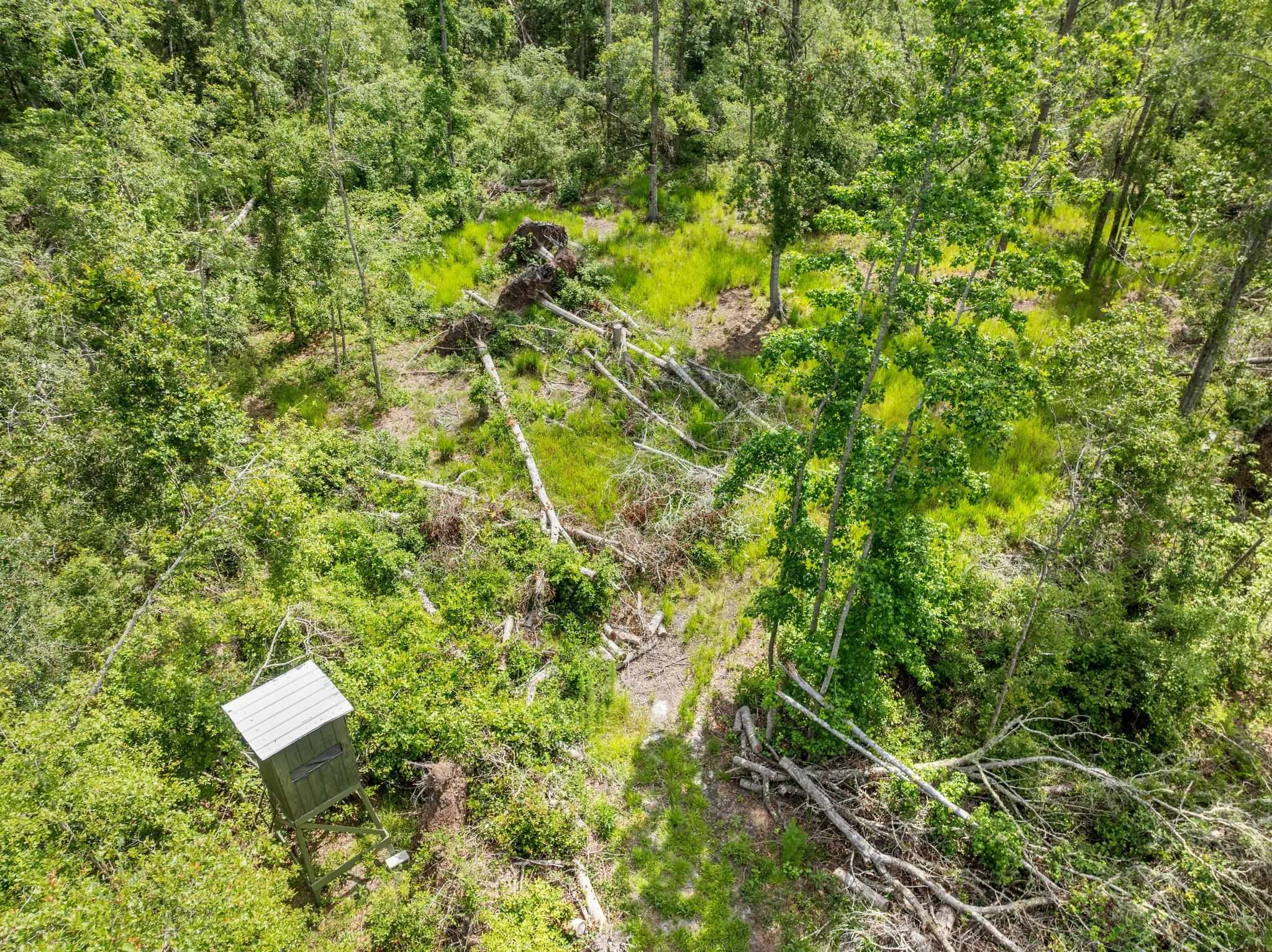 1000 Bishop Farm Road, Monticello, Florida image 38
