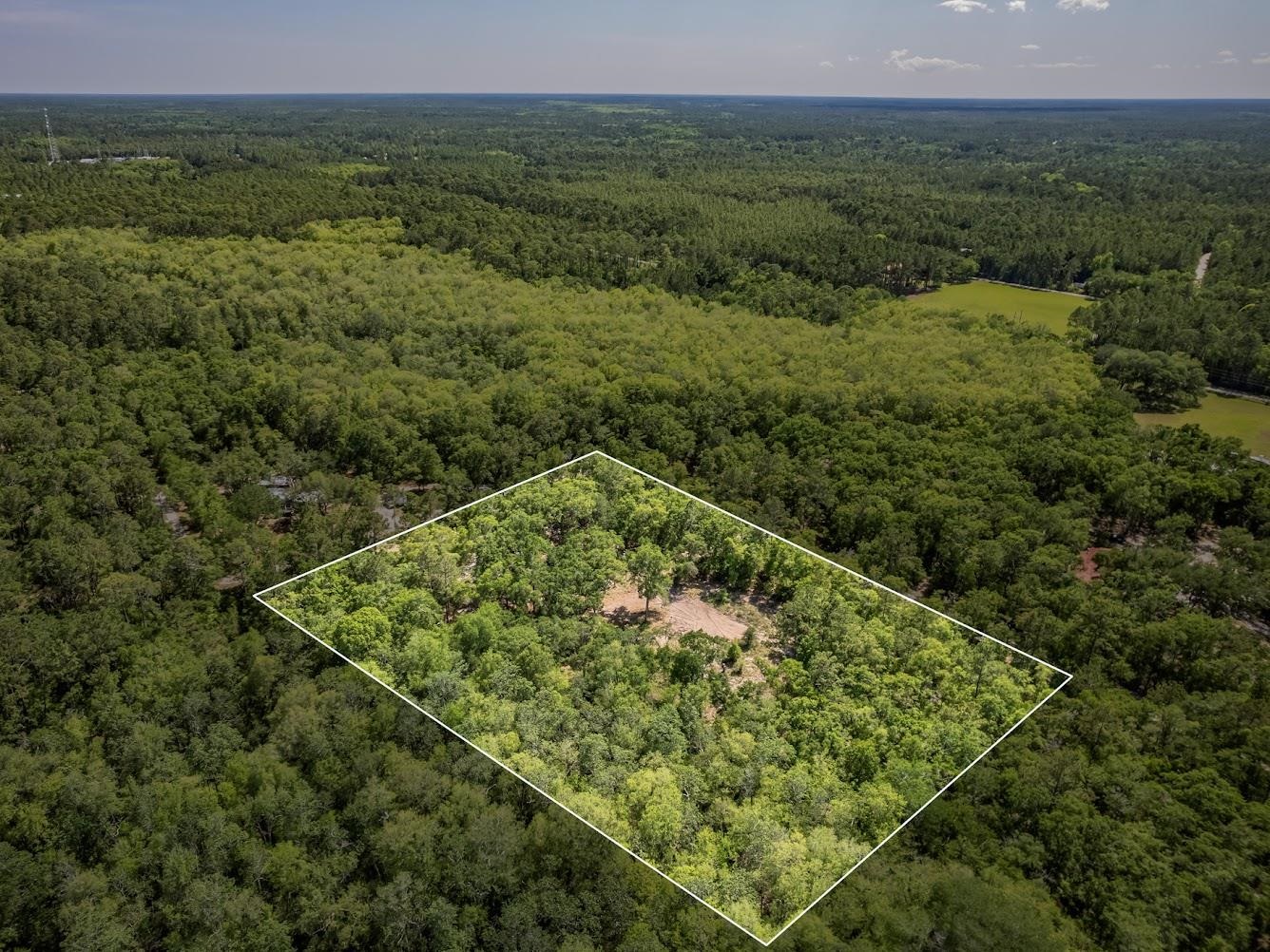 326 Lost Creek Lane, Crawfordville, Florida image 16