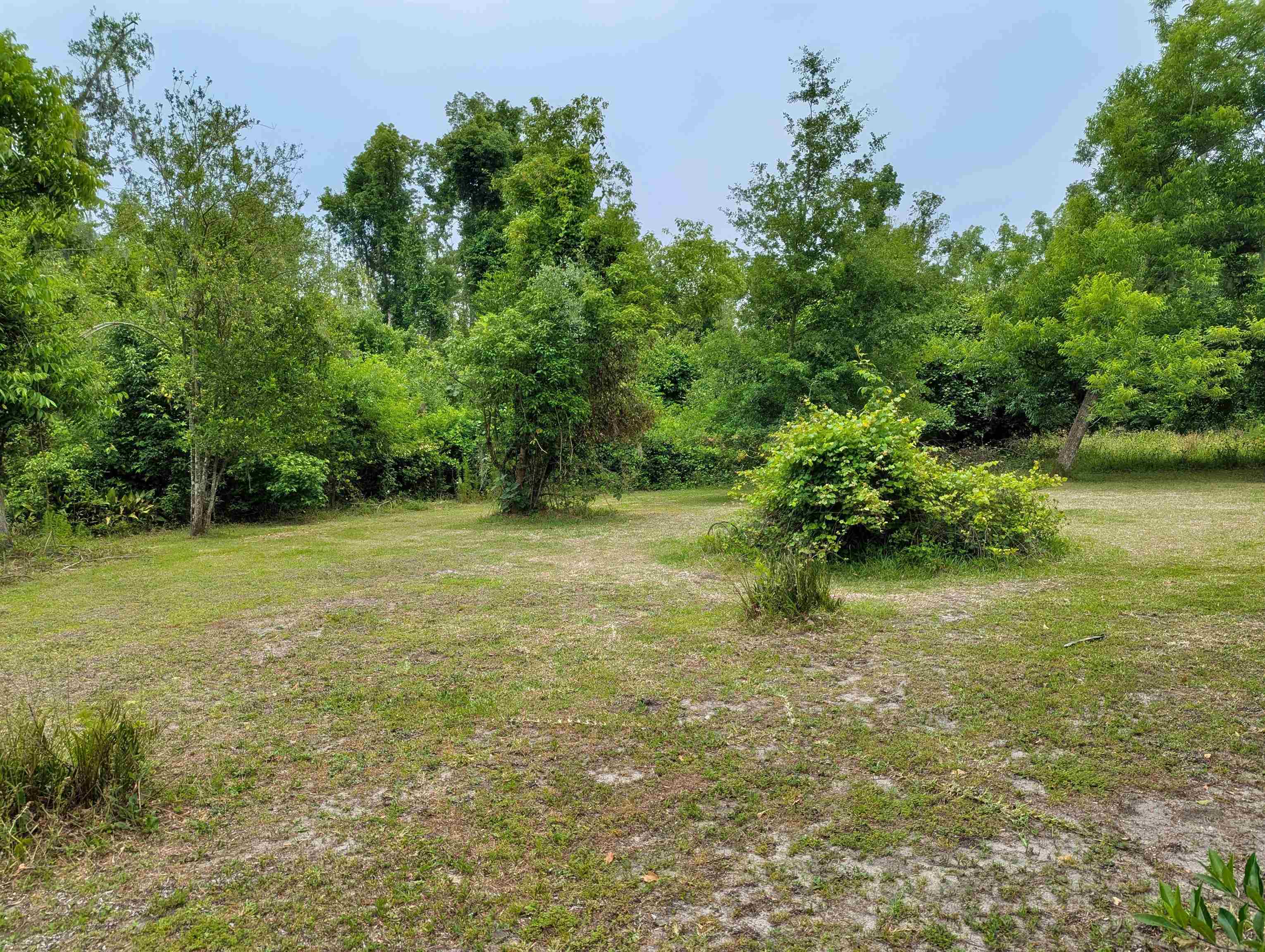 189 SE Stephens Avenue, Madison, Florida image 5