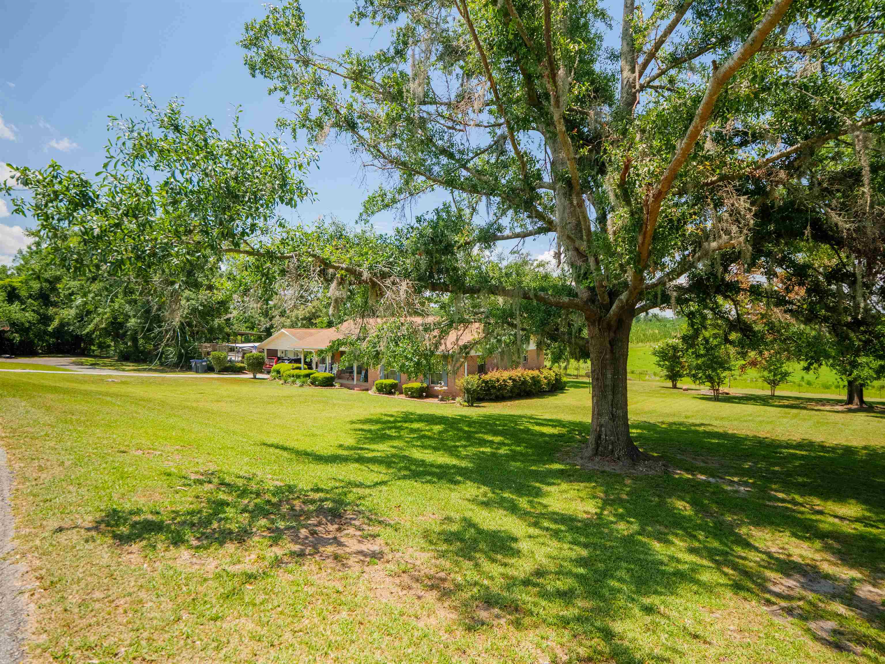 181 NE Biltmore Road, Madison, Texas image 21