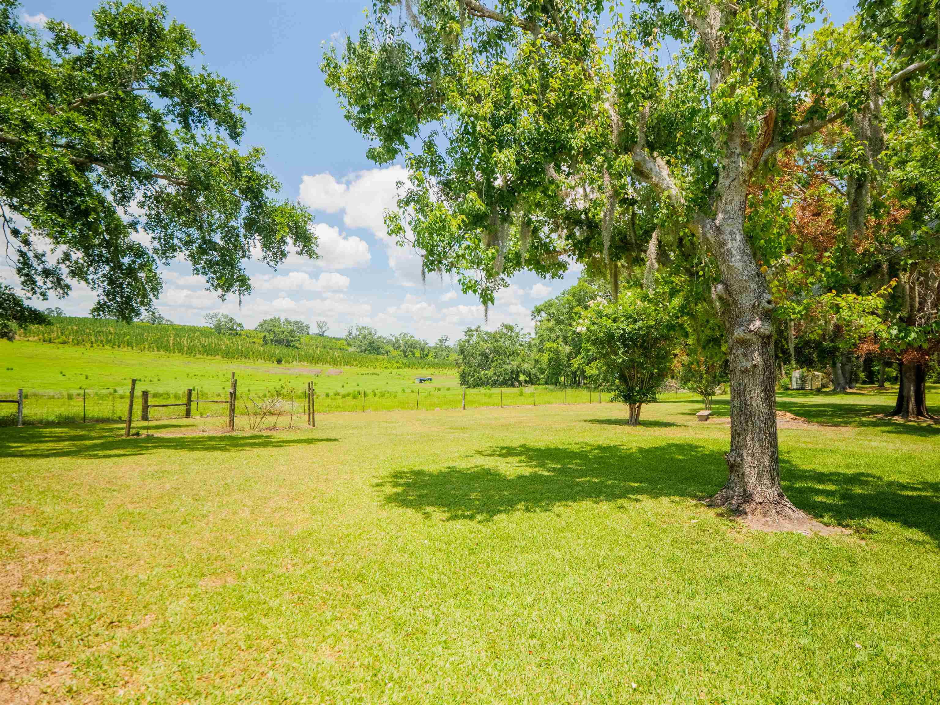 181 NE Biltmore Road, Madison, Texas image 42