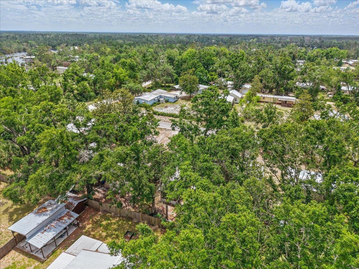 1615 SE Rives Ave, Steinhatchee, Florida image 32