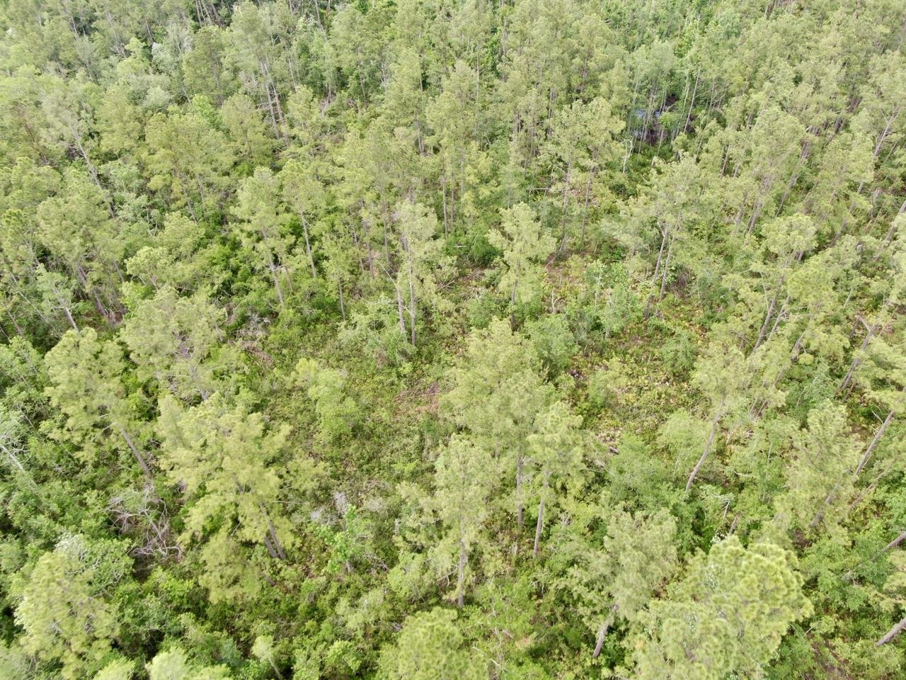 Vacant SW Cr 14, Greenville, Texas image 11