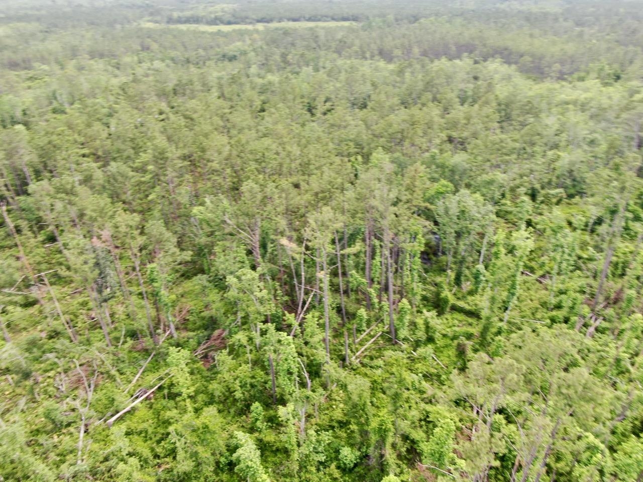 Vacant SW Cr 14, Greenville, Texas image 8