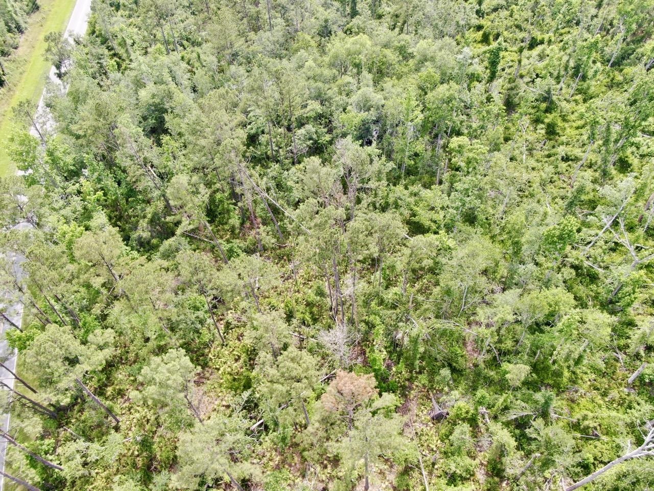 Vacant SW Cr 14, Greenville, Texas image 9