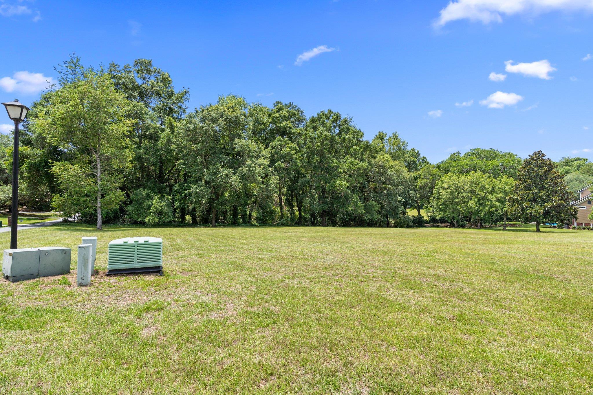 Evening Star Lane, Tallahassee, Florida image 6