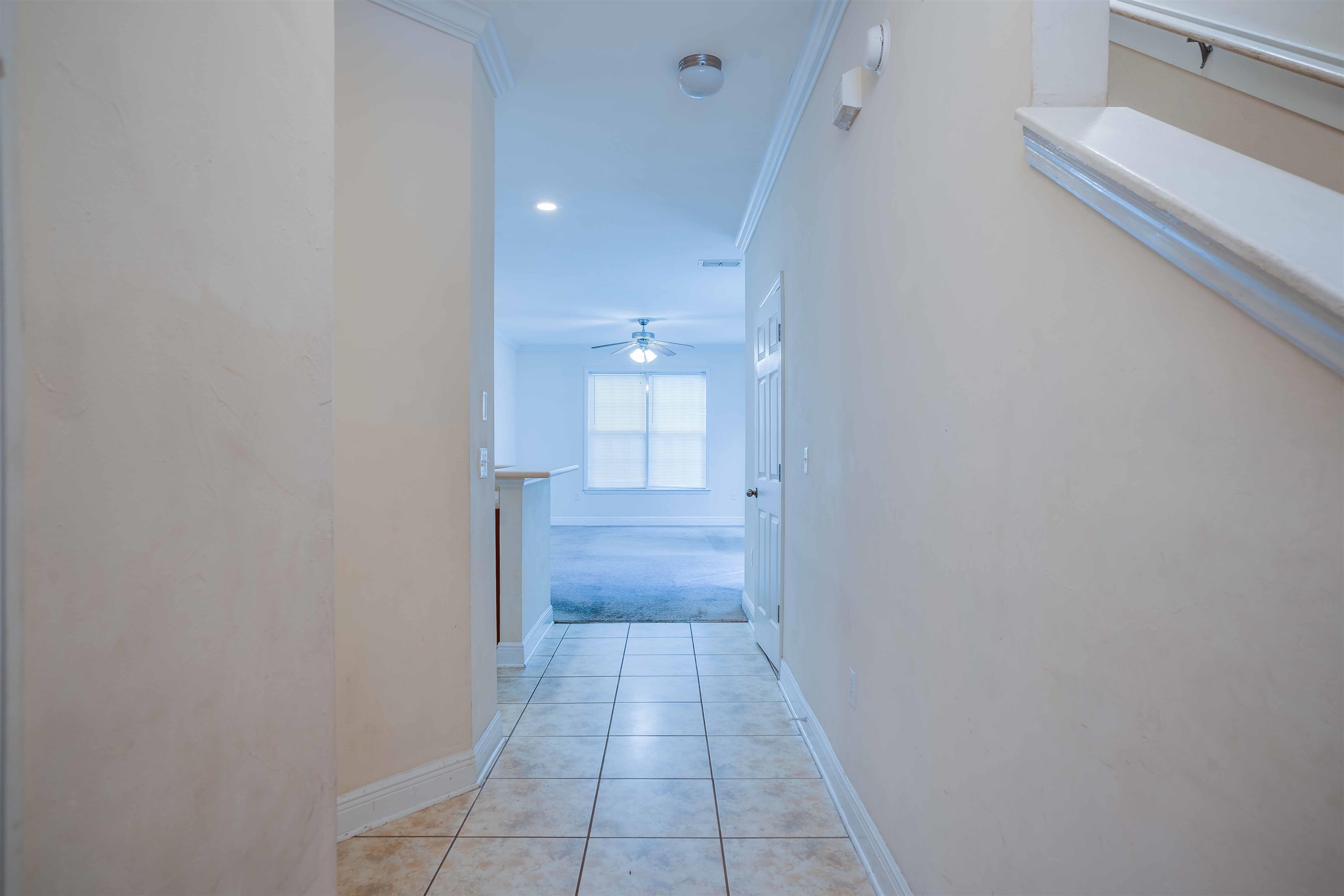 1575 Paul Russell Road #4204, Tallahassee, Florida image 4