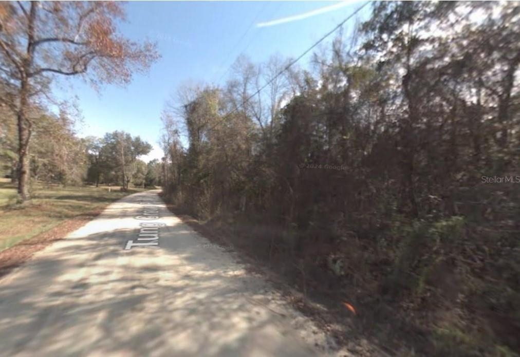 000 Tung Grove Road, Tallahassee, Florida image 1