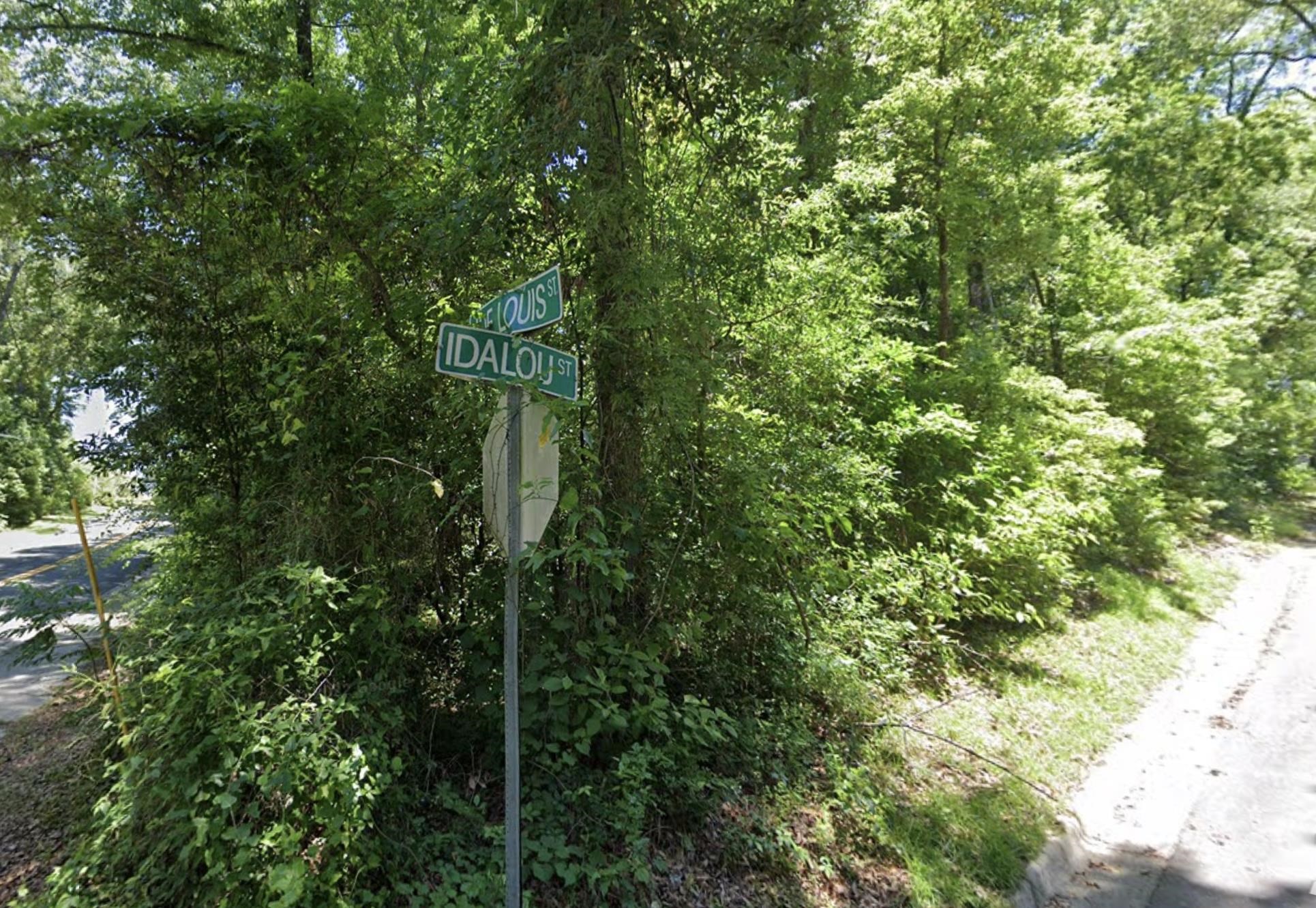 Joe Louis Street, Tallahassee, Florida image 3