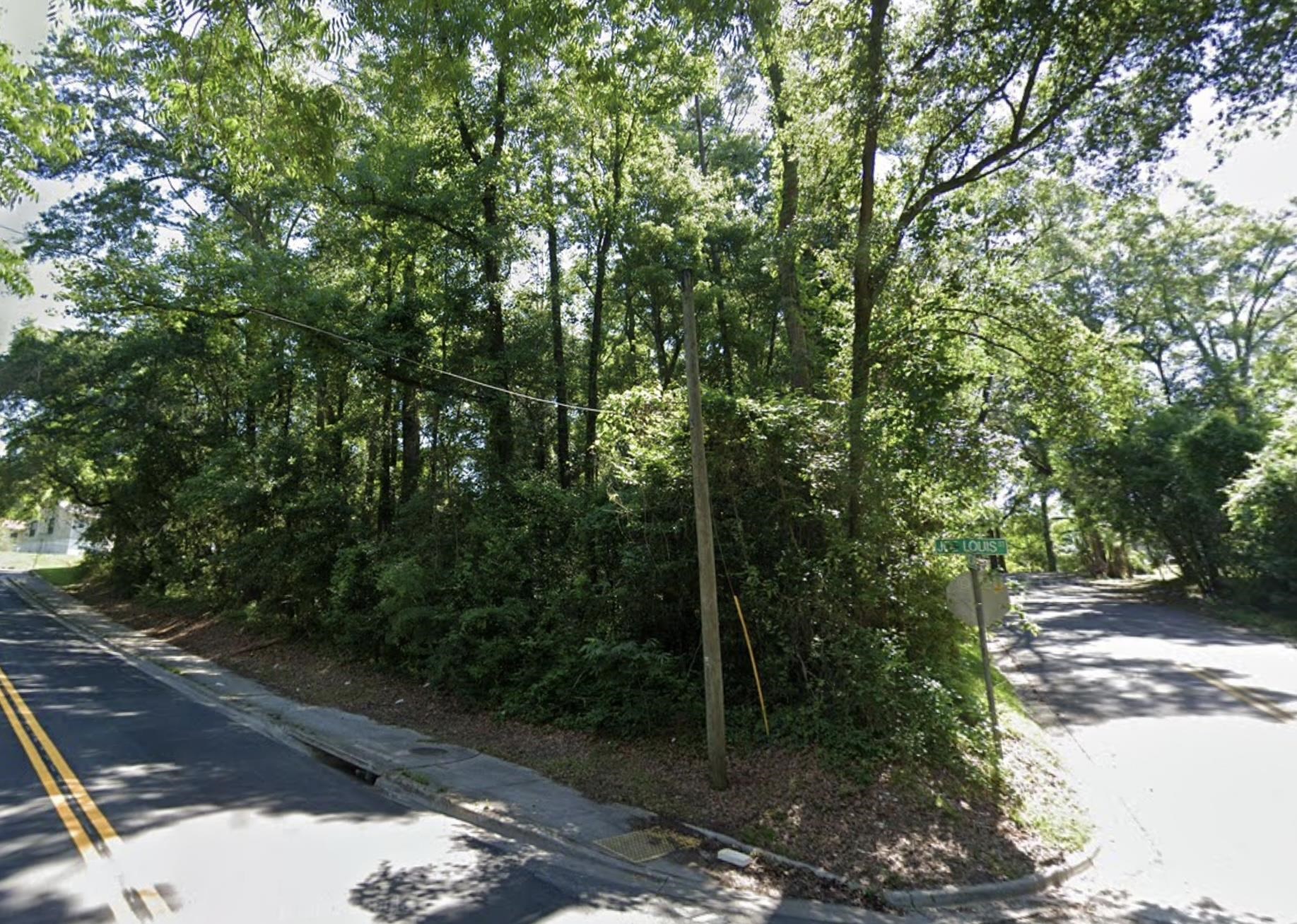 Joe Louis Street, Tallahassee, Florida image 4