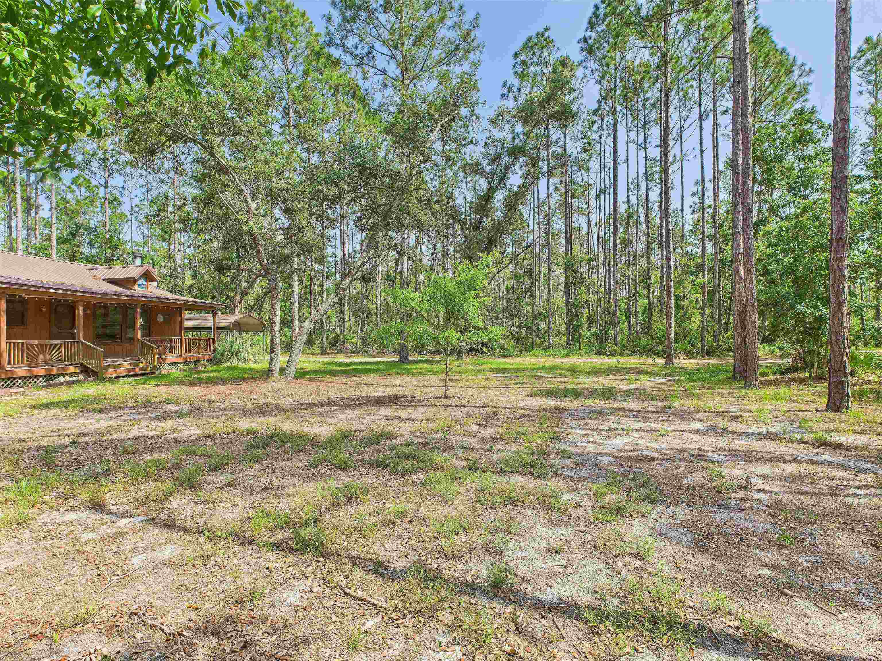18722 Key Deer Court, Keaton Beach, Florida image 2