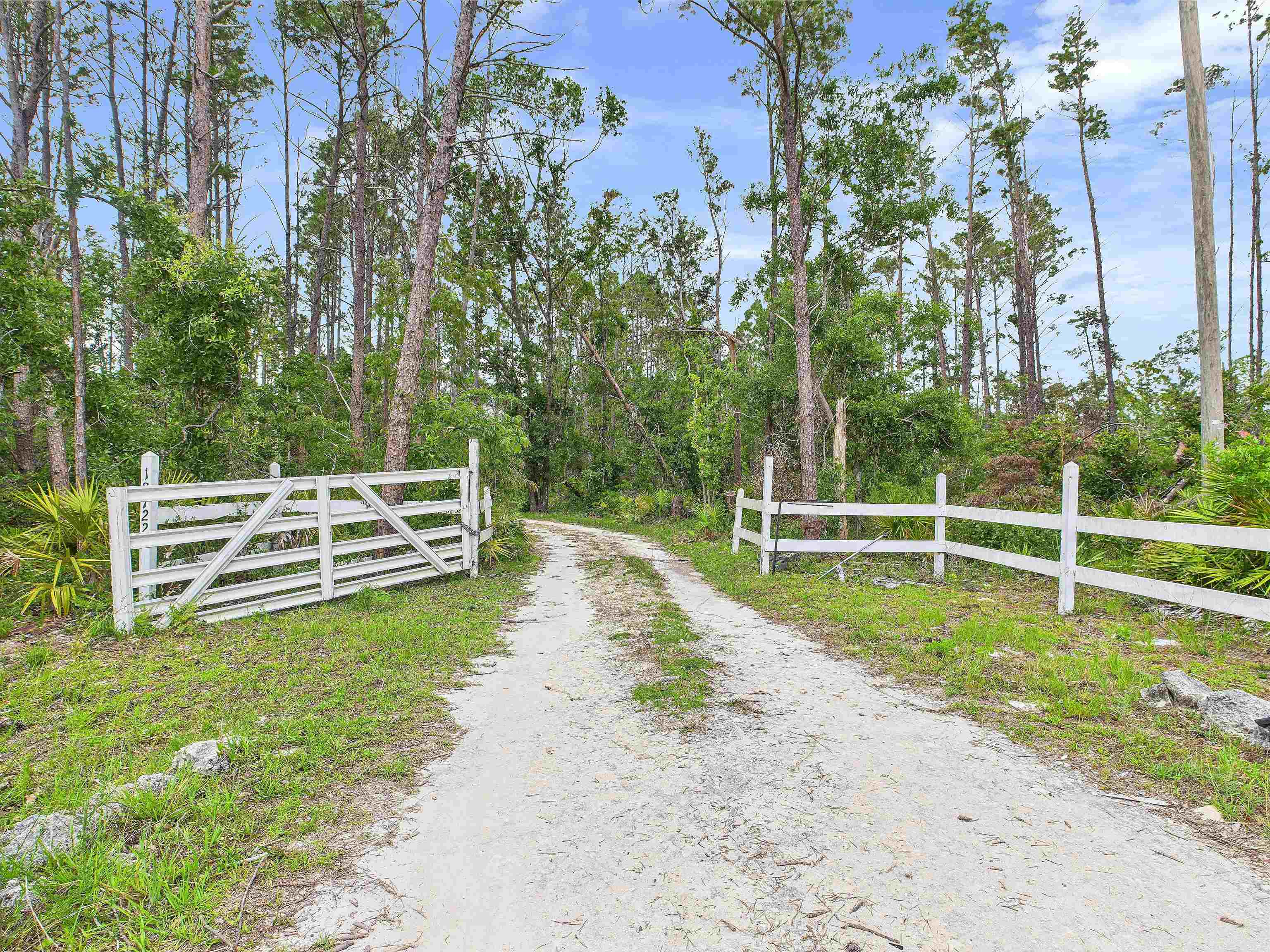 18722 Key Deer Court, Keaton Beach, Florida image 21