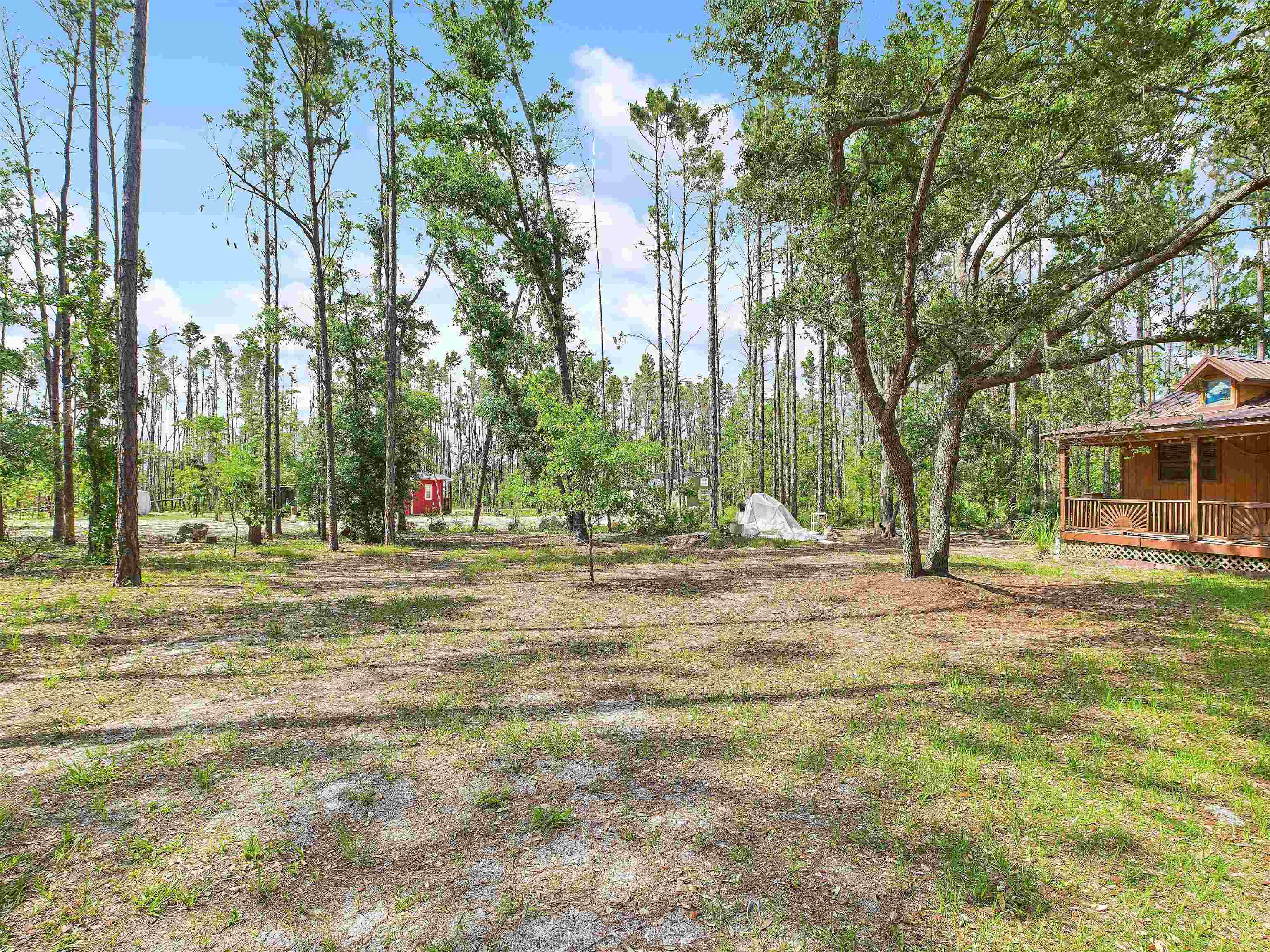 18722 Key Deer Court, Keaton Beach, Florida image 3