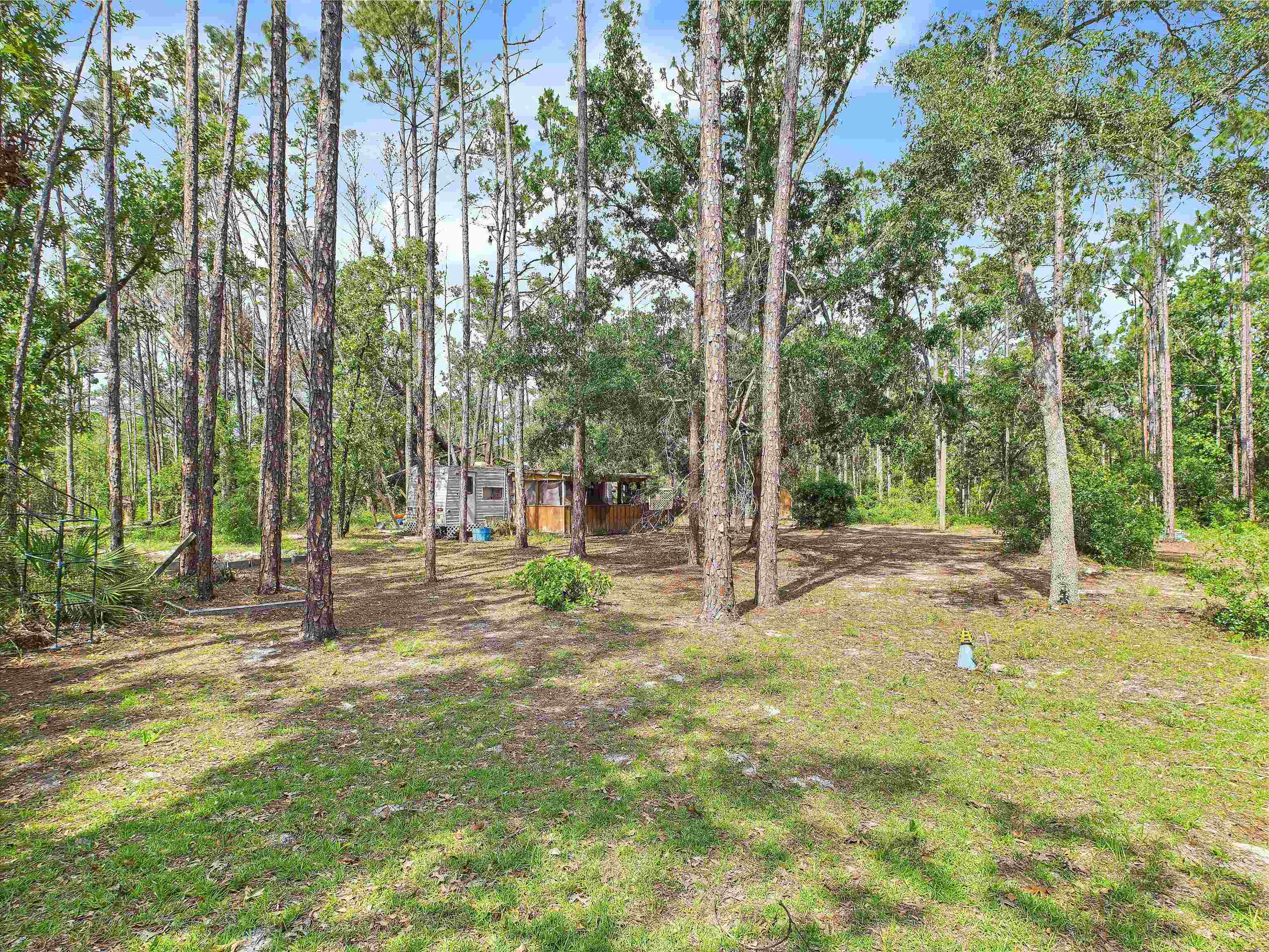 18722 Key Deer Court, Keaton Beach, Florida image 5