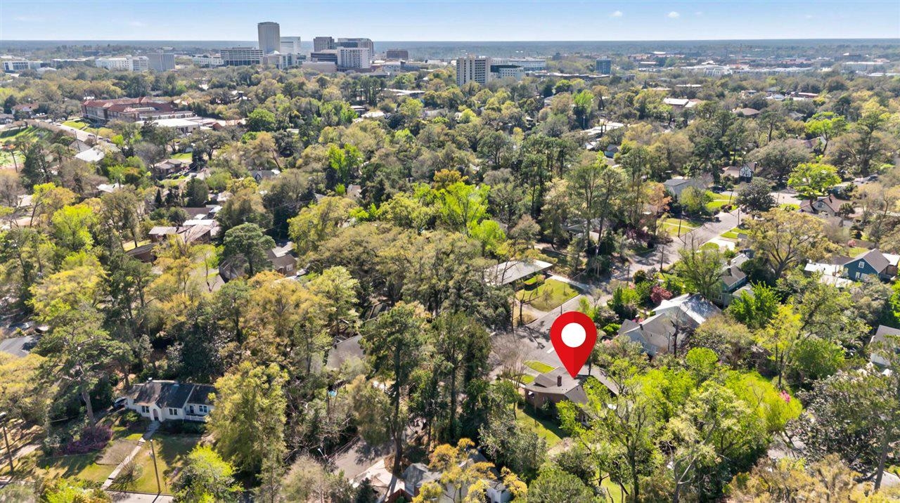 602 Mcdaniel Street, Tallahassee, Texas image 3