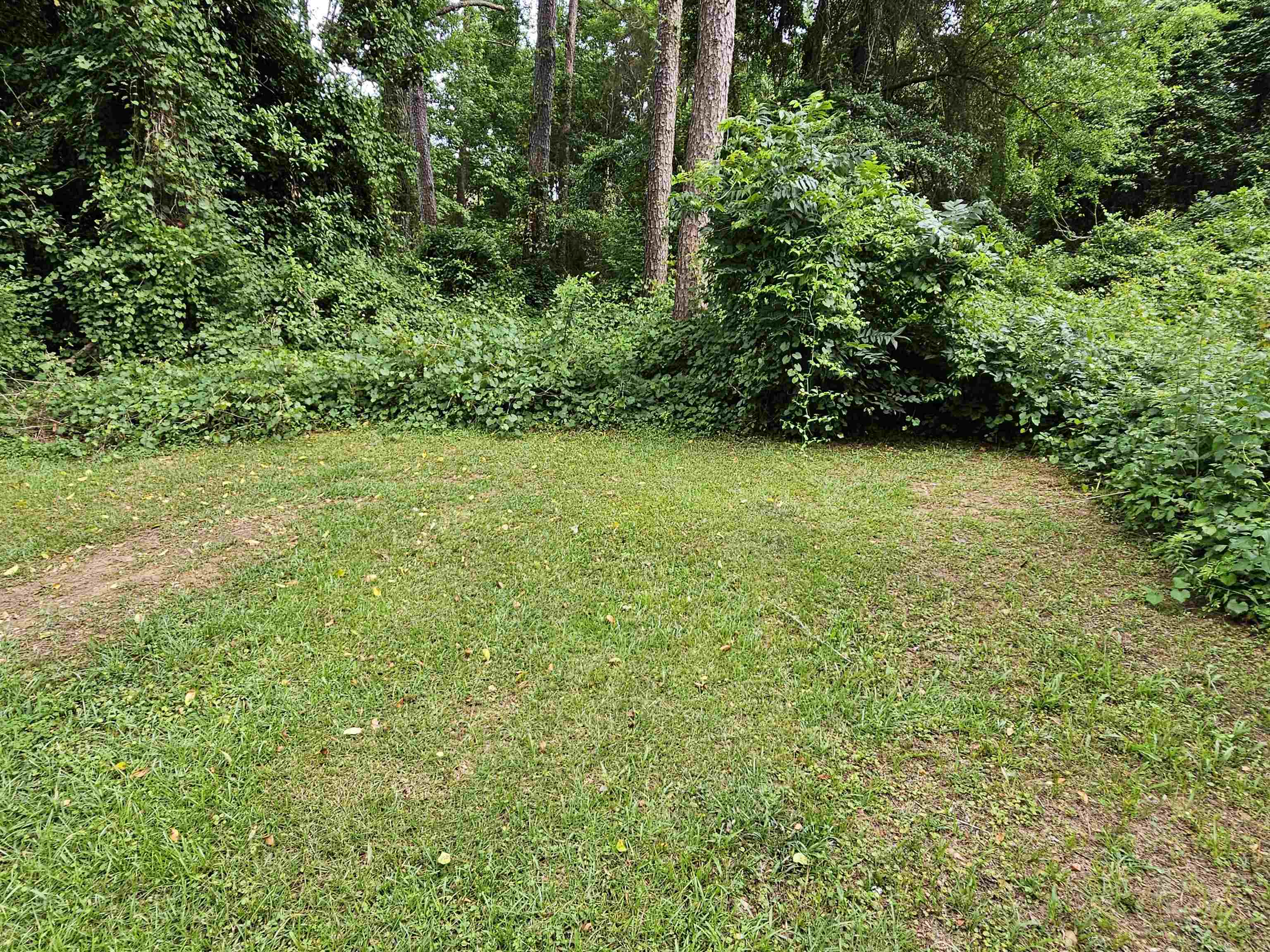 1325 Twin Peak Lane, Tallahassee, Florida image 38