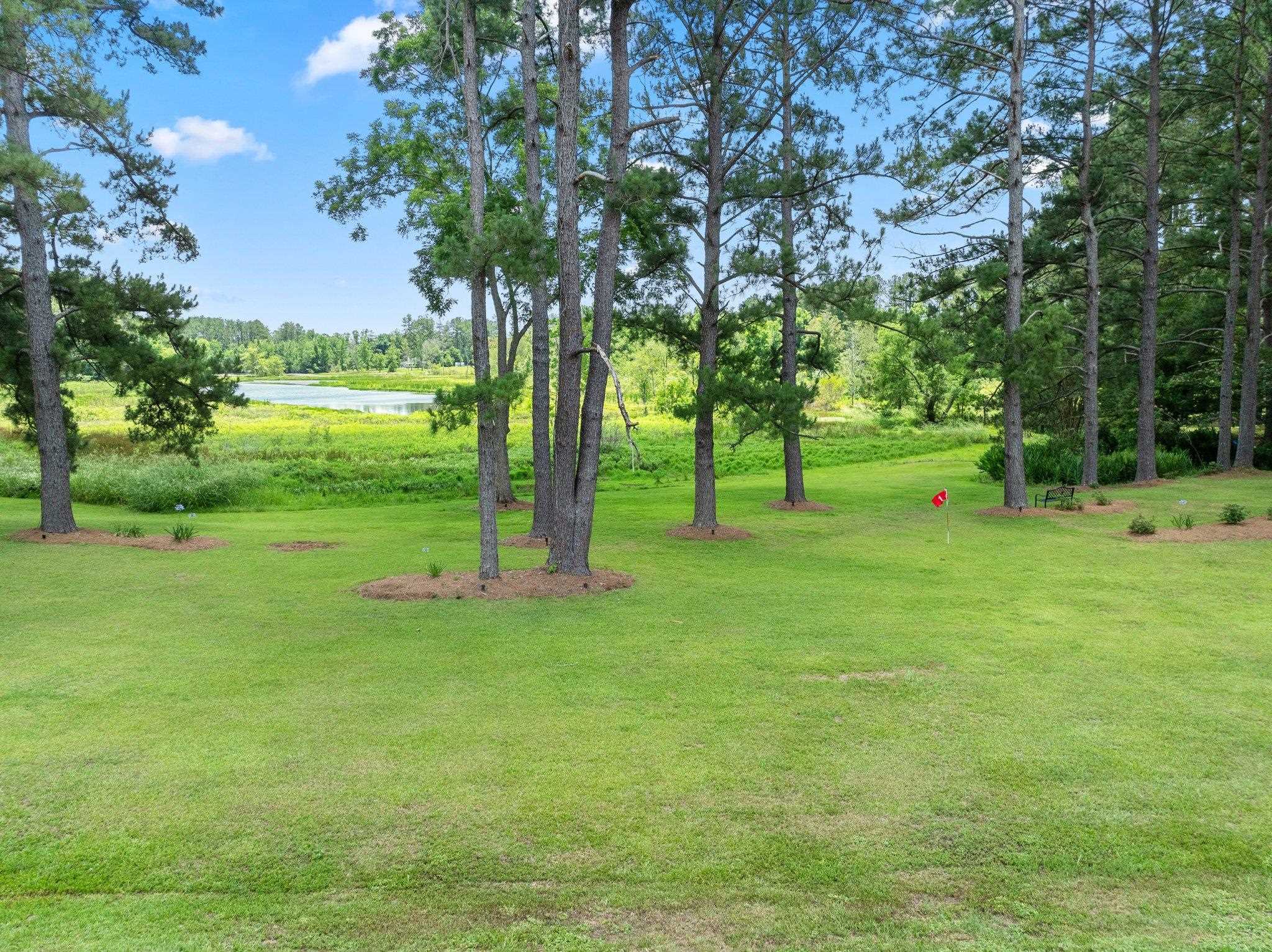 3188 Hawks Landing Drive, Tallahassee, Texas image 41