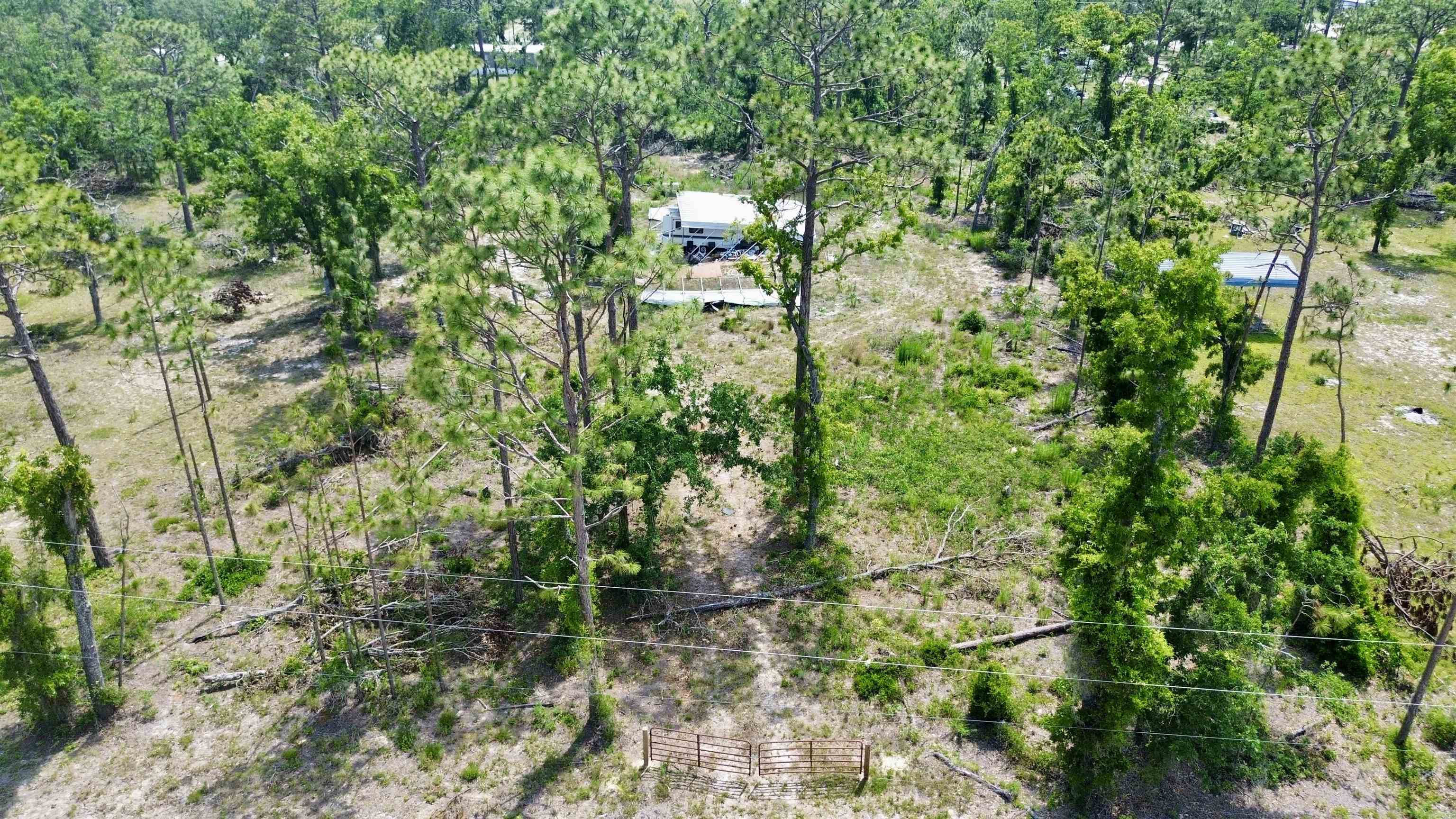 17310 E Royal Oak Drive, Perry, Florida image 3