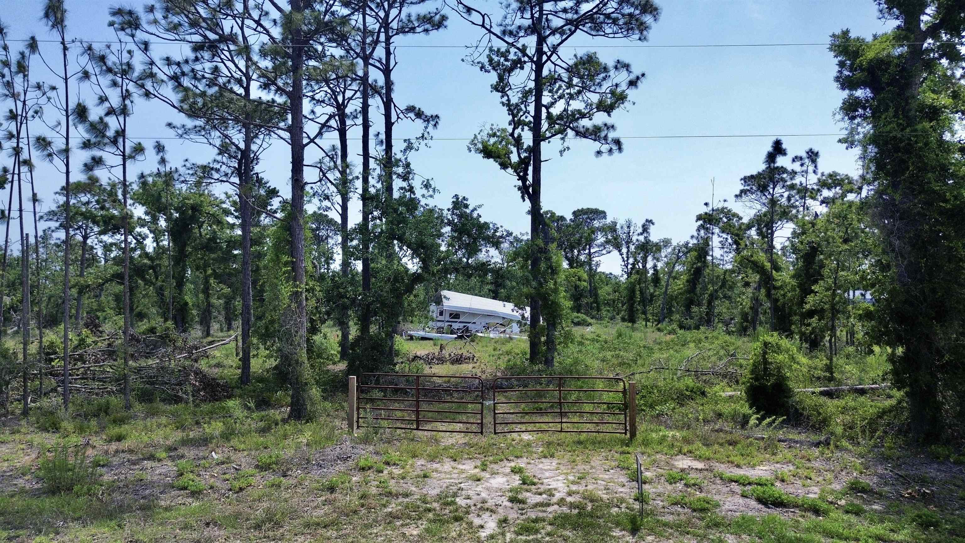 17310 E Royal Oak Drive, Perry, Florida image 4