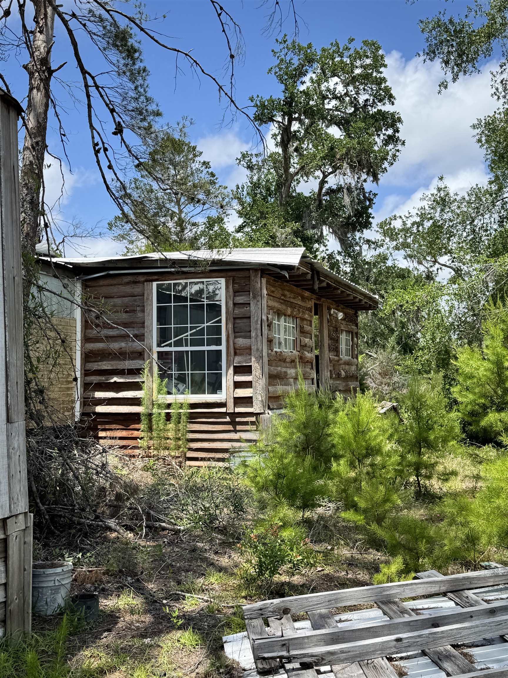 15551 Shell Drive, Keaton Beach, Florida image 4