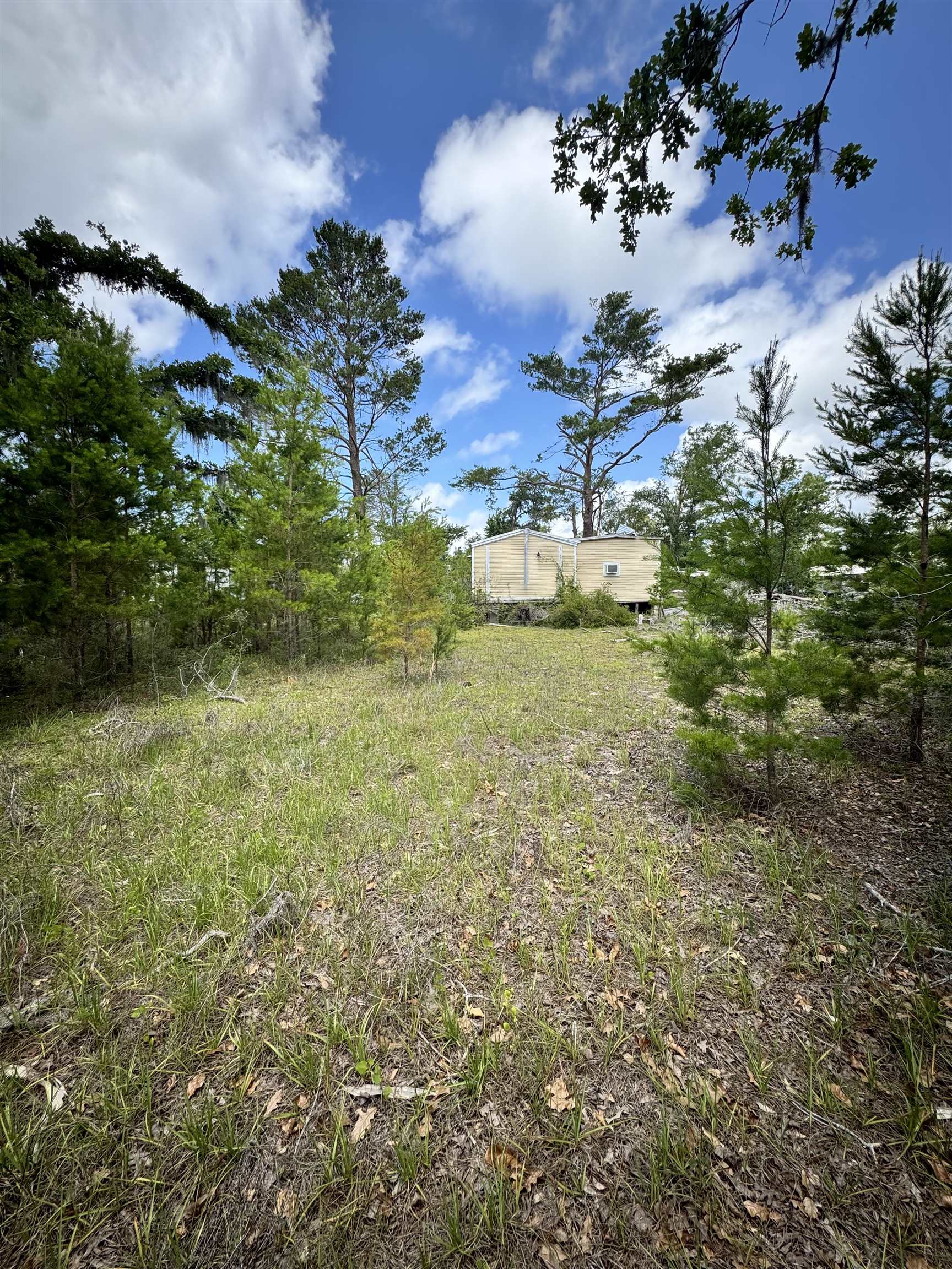 15551 Shell Drive, Keaton Beach, Florida image 6