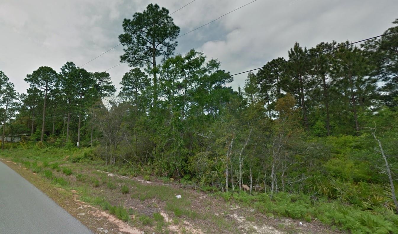 000 Peachtree Circle, Santa Rosa Beach, Texas image 1