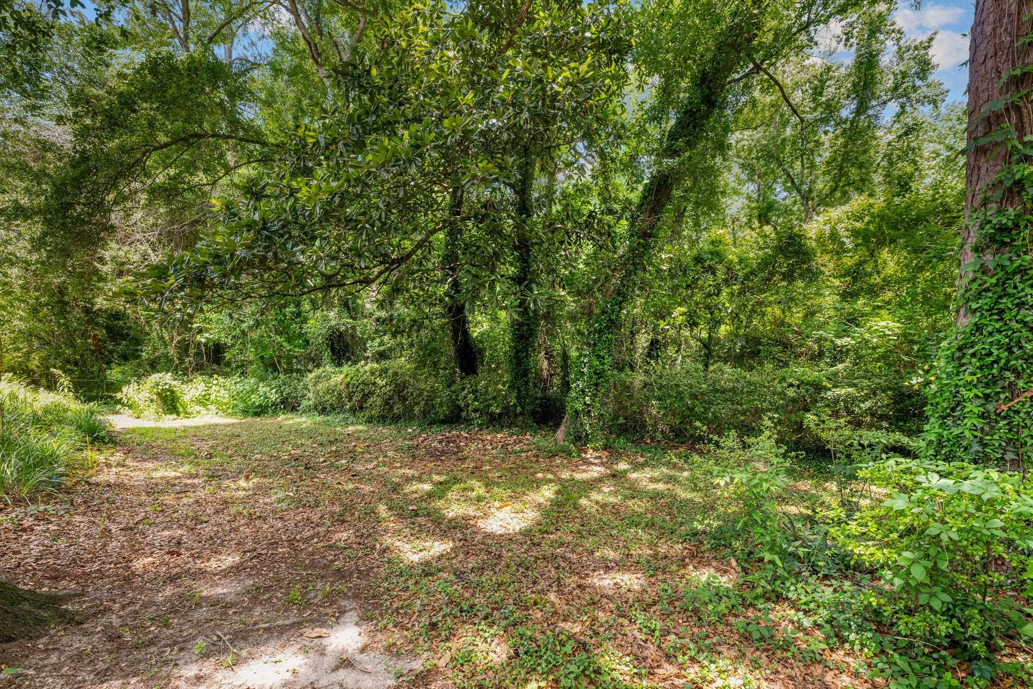 4447 Camden, Tallahassee, Florida image 39