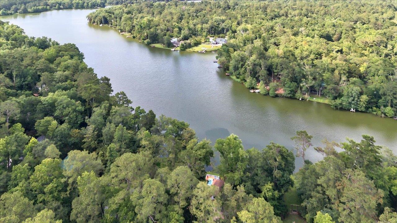 1645 Tallavana Trail, Havana, Texas image 16