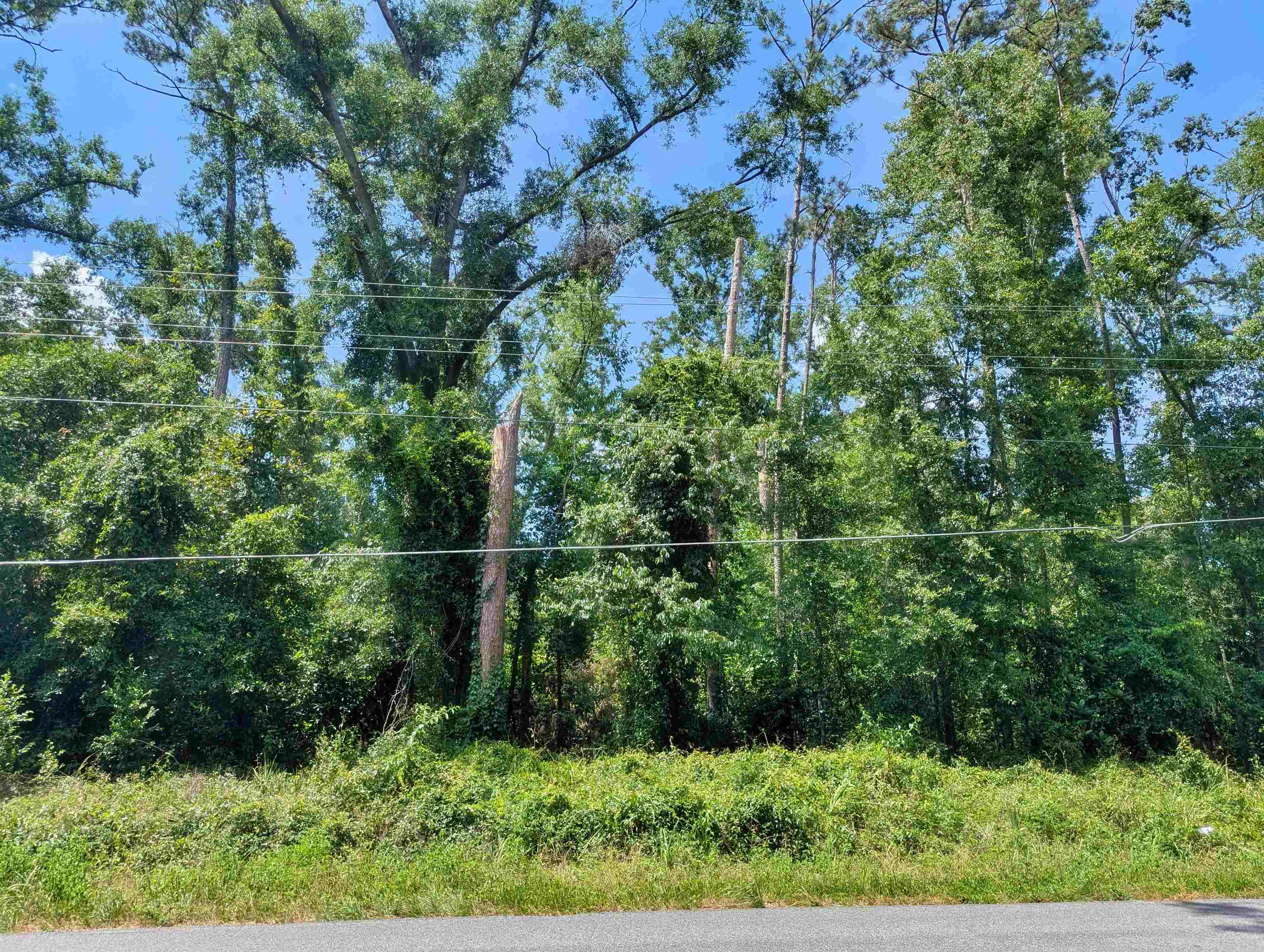 NE Cherry Lake Circle, Madison, Texas image 2