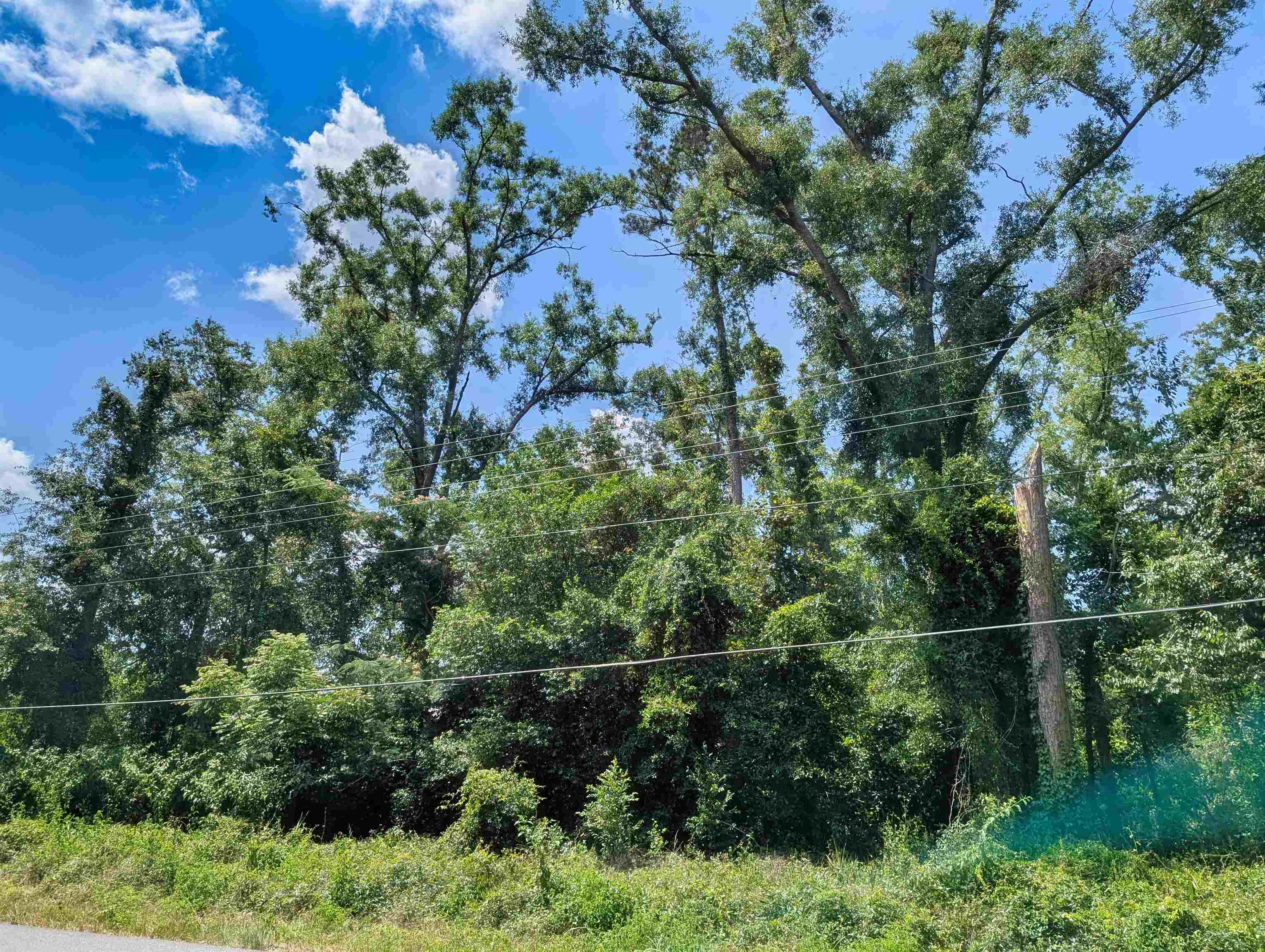 NE Cherry Lake Circle, Madison, Texas image 4