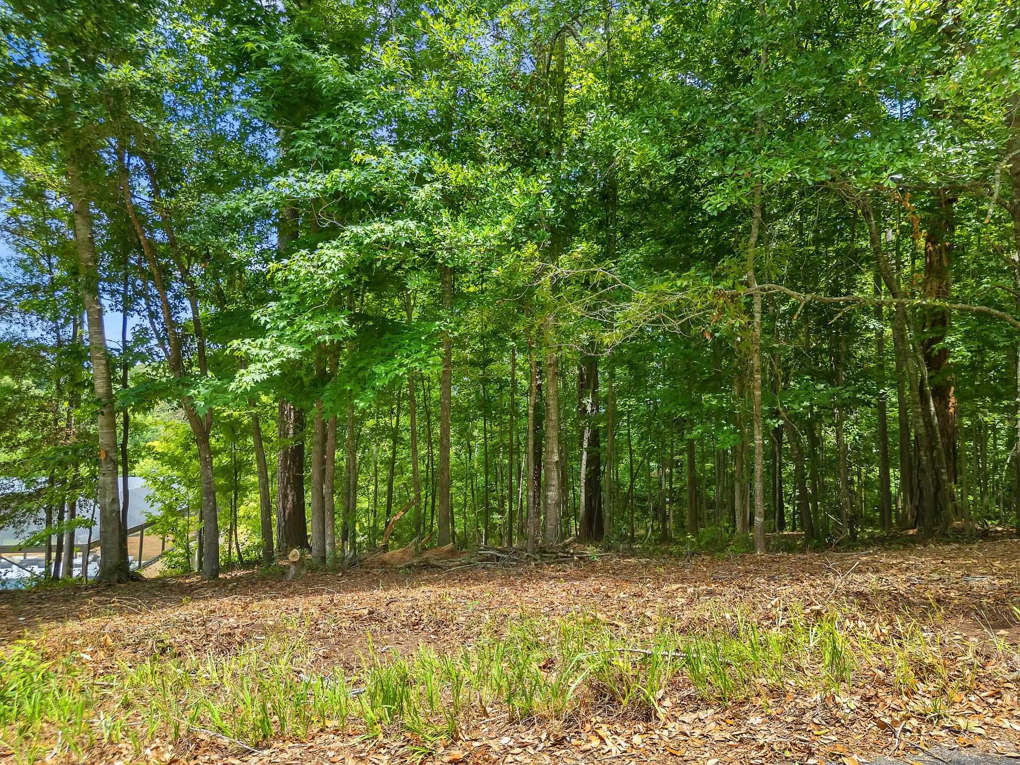 Heritage Ridge Road #II, Tallahassee, Florida image 5