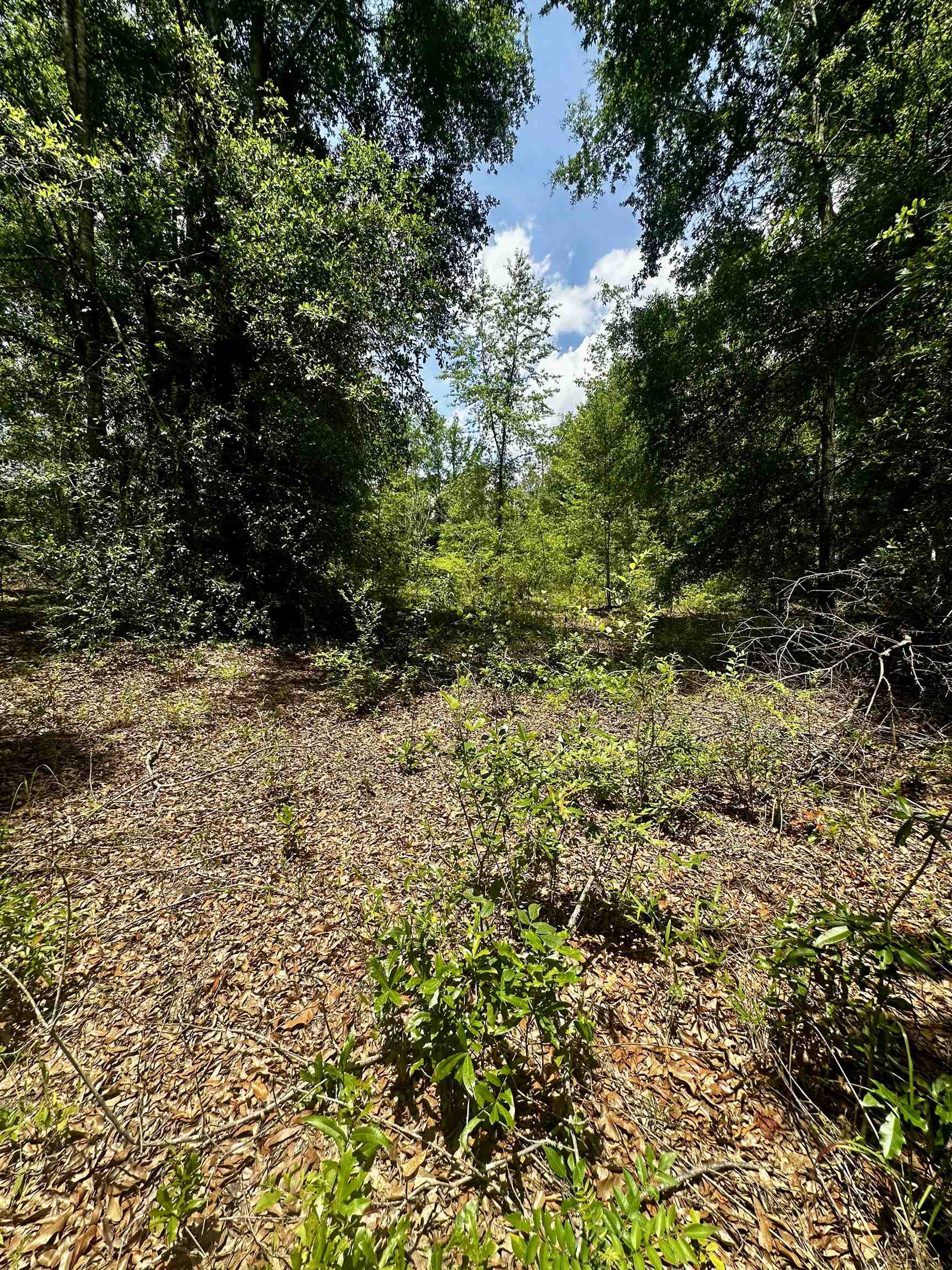 000 NE Jacaranda Terrace, Lee, Texas image 10