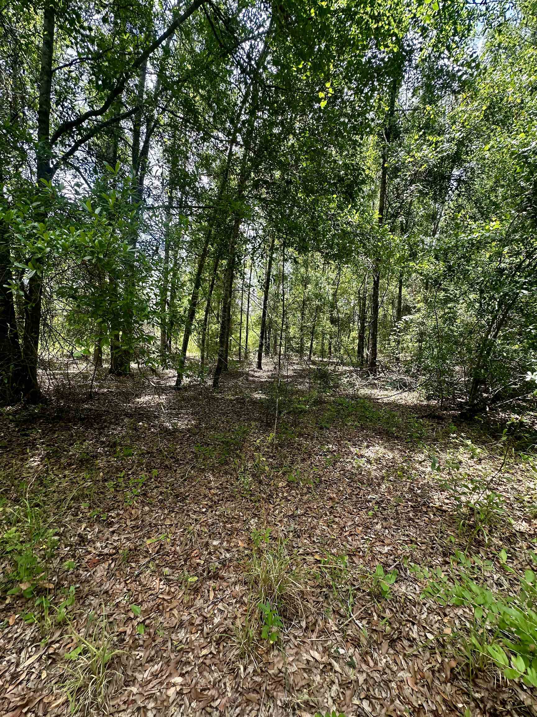 000 NE Jacaranda Terrace, Lee, Texas image 11