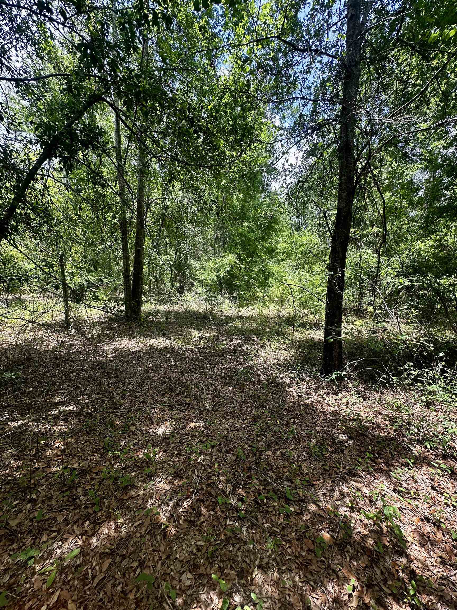 000 NE Jacaranda Terrace, Lee, Texas image 13