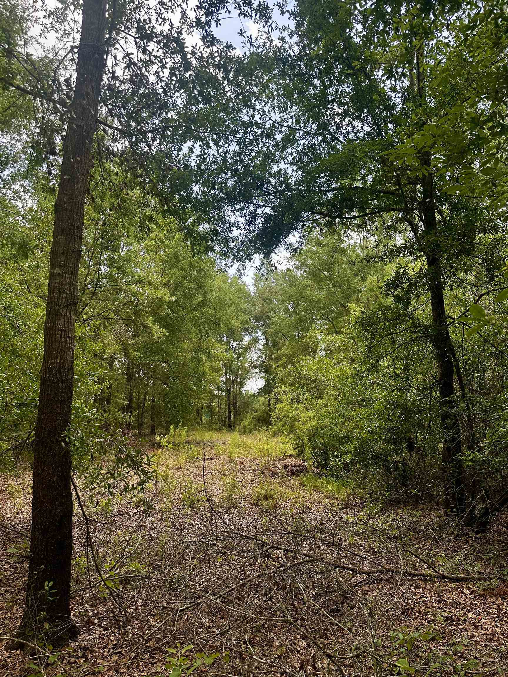 000 NE Jacaranda Terrace, Lee, Texas image 24