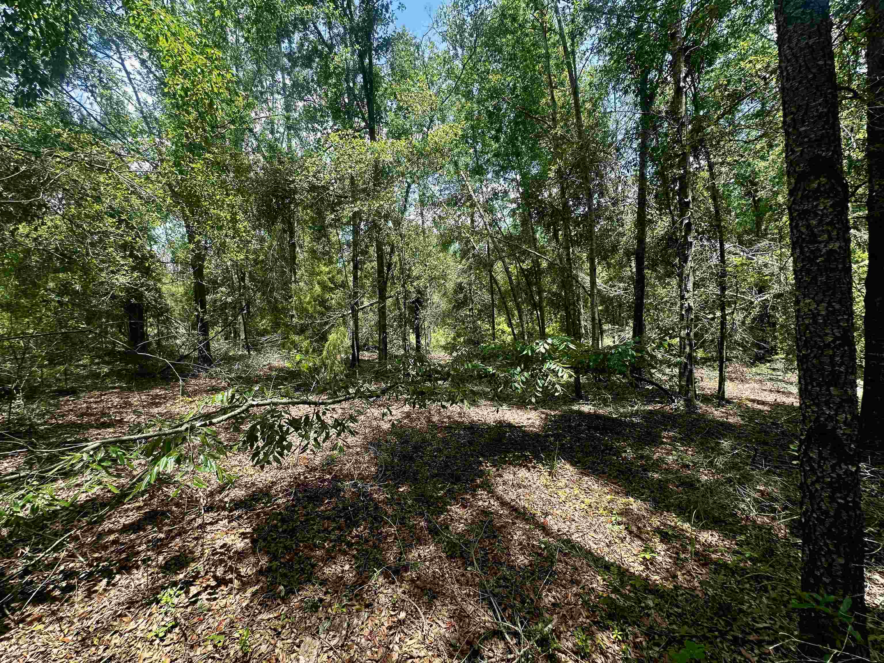 000 NE Jacaranda Terrace, Lee, Texas image 3