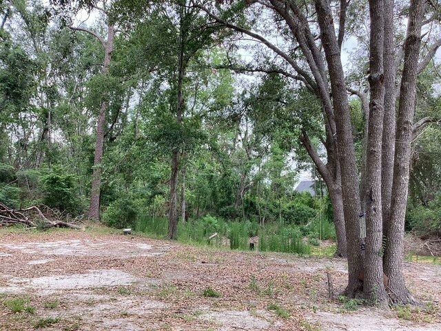 317 SE Centerwood Lane, Lee, Florida image 1