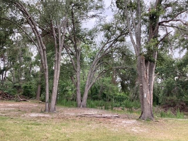 317 SE Centerwood Lane, Lee, Florida image 2