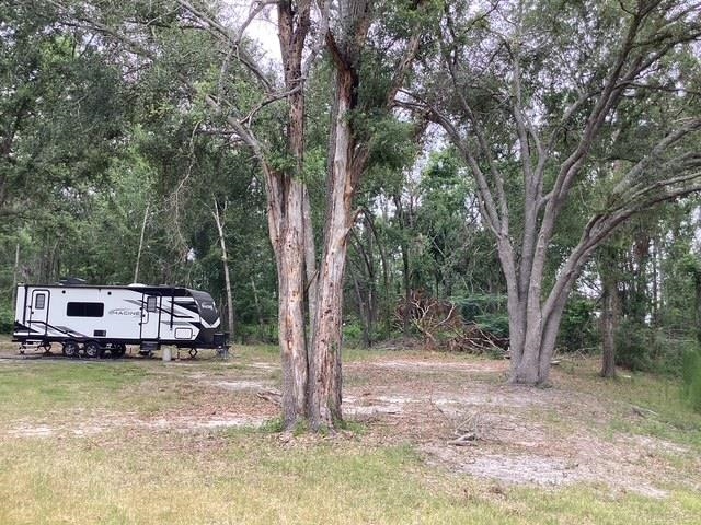 317 SE Centerwood Lane, Lee, Florida image 7