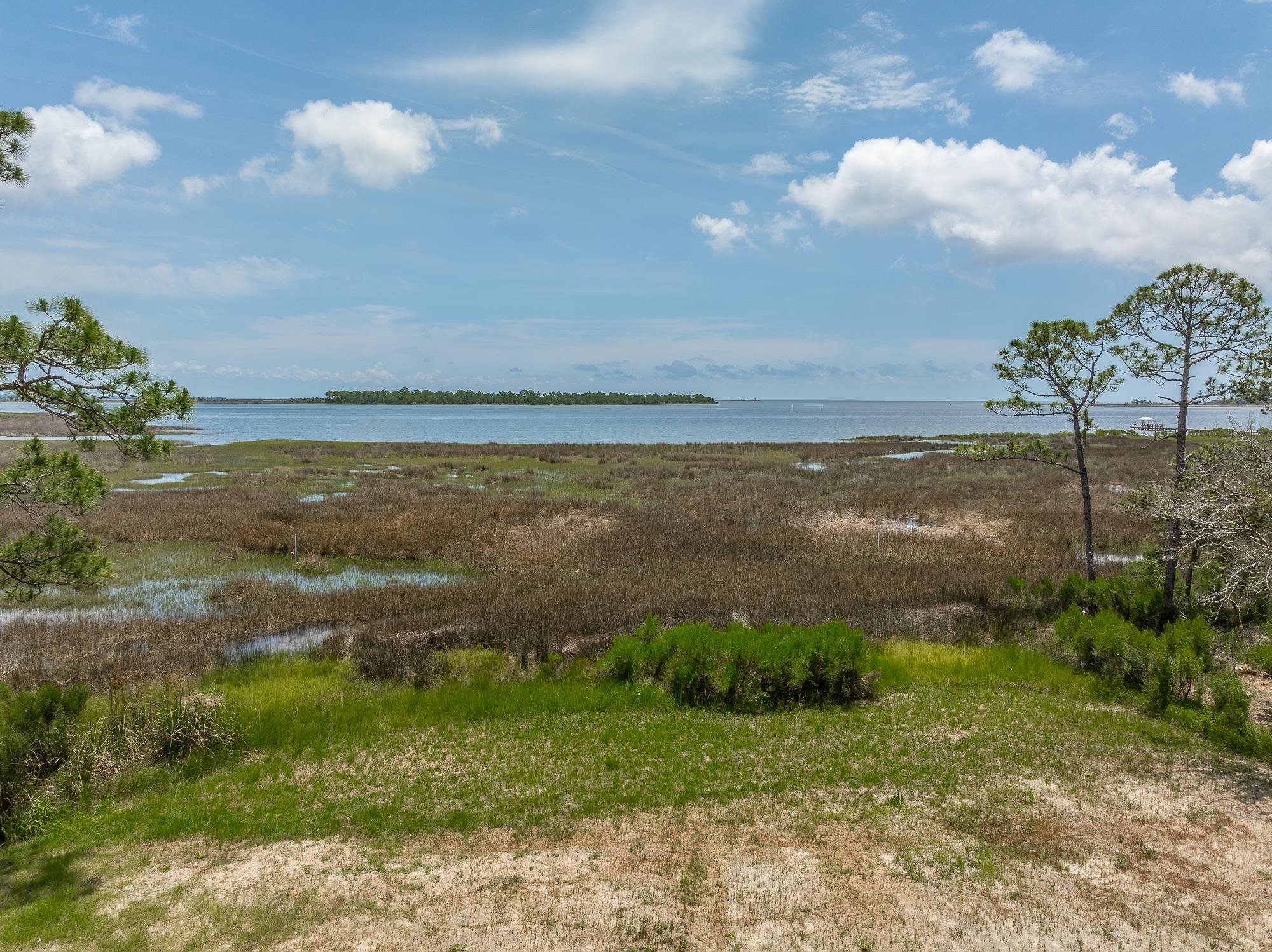 Lot 8 Levy Bay Road, Panacea, Florida image 6