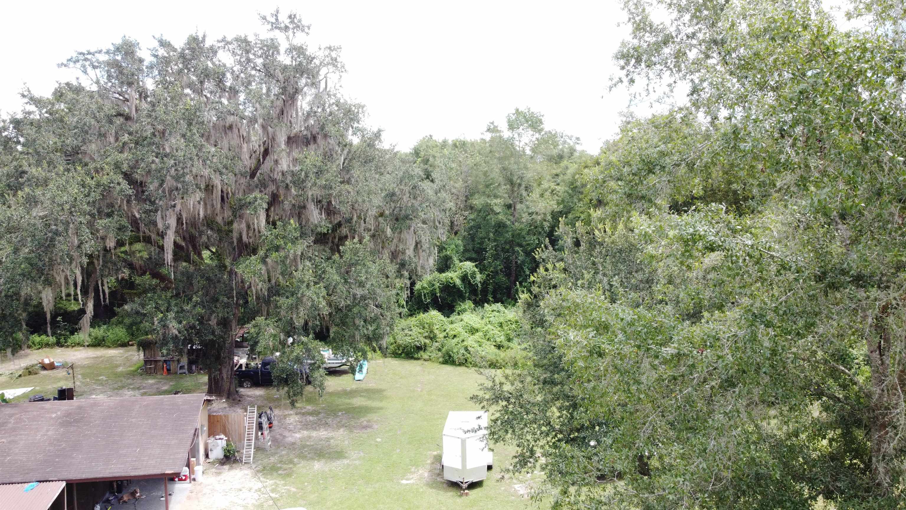35 C L Townsend Lane, Crawfordville, Florida image 22