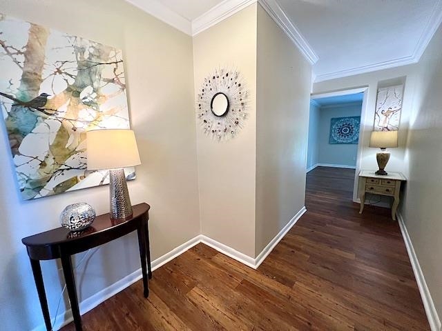 2401 Mexia Avenue, Tallahassee, Florida image 9