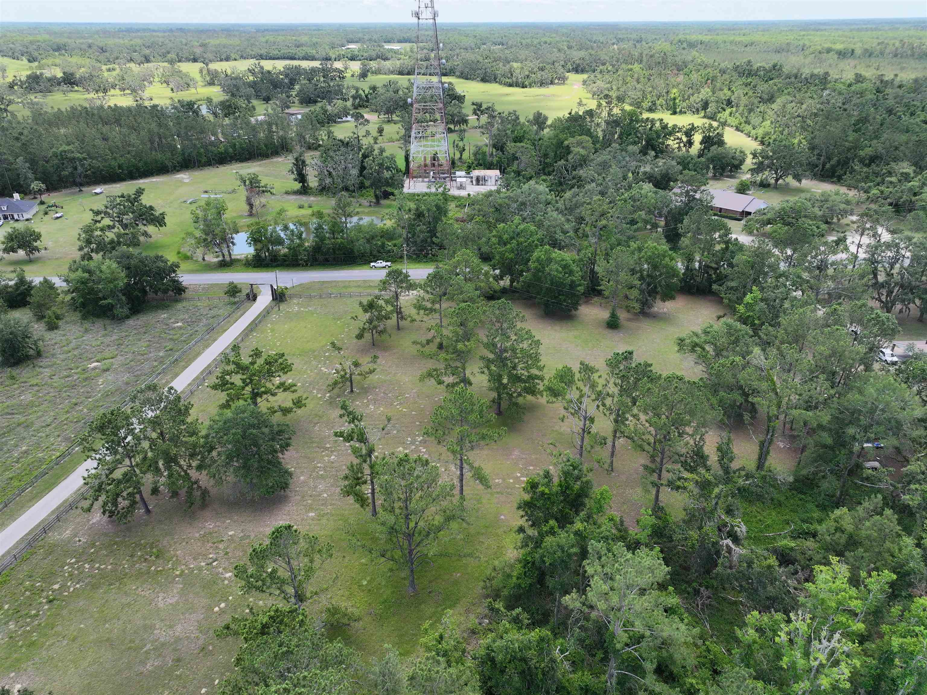 Vacant Valhalla Ranch Drive, Perry, Florida image 2