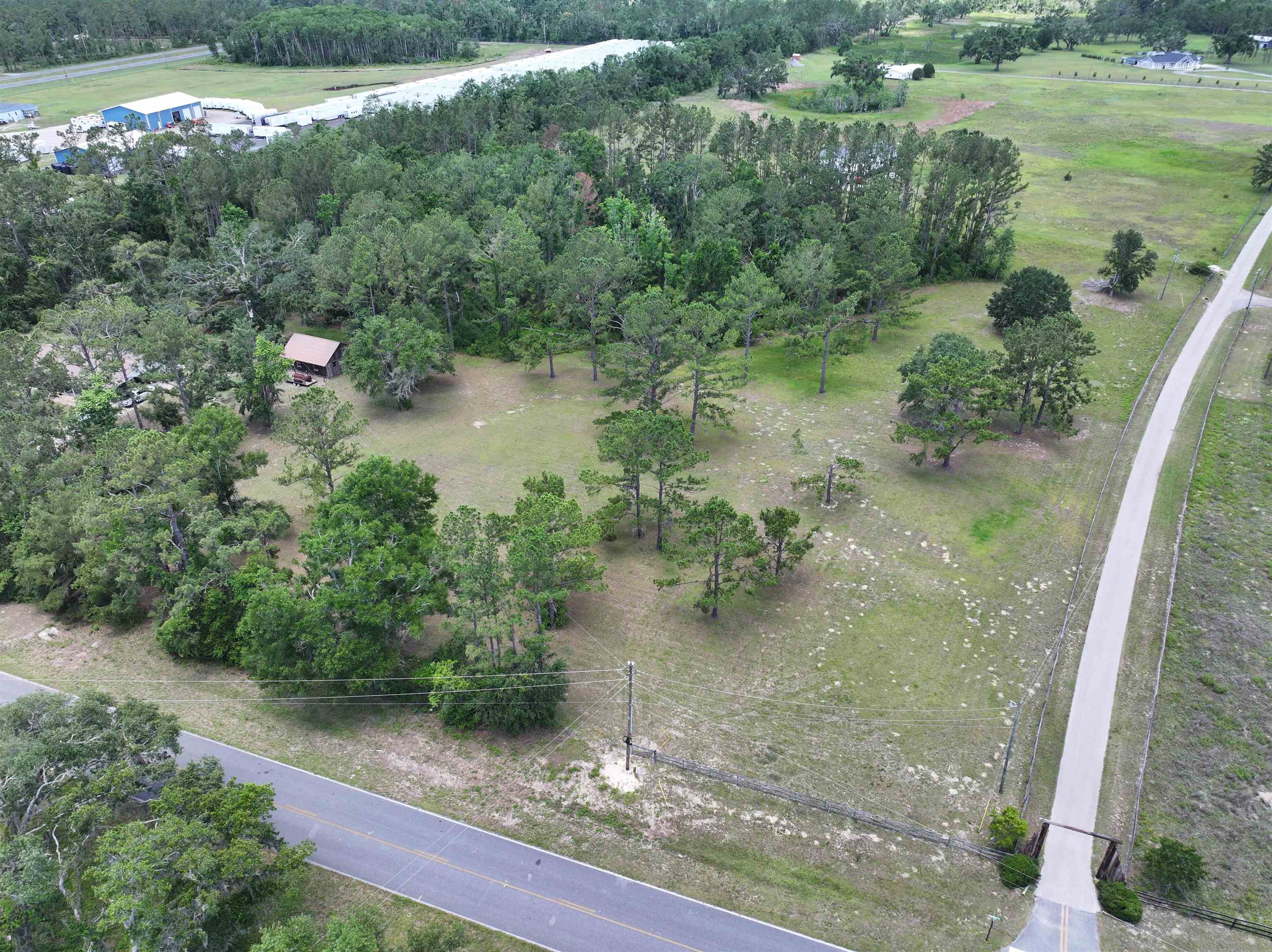 Vacant Valhalla Ranch Drive, Perry, Florida image 8