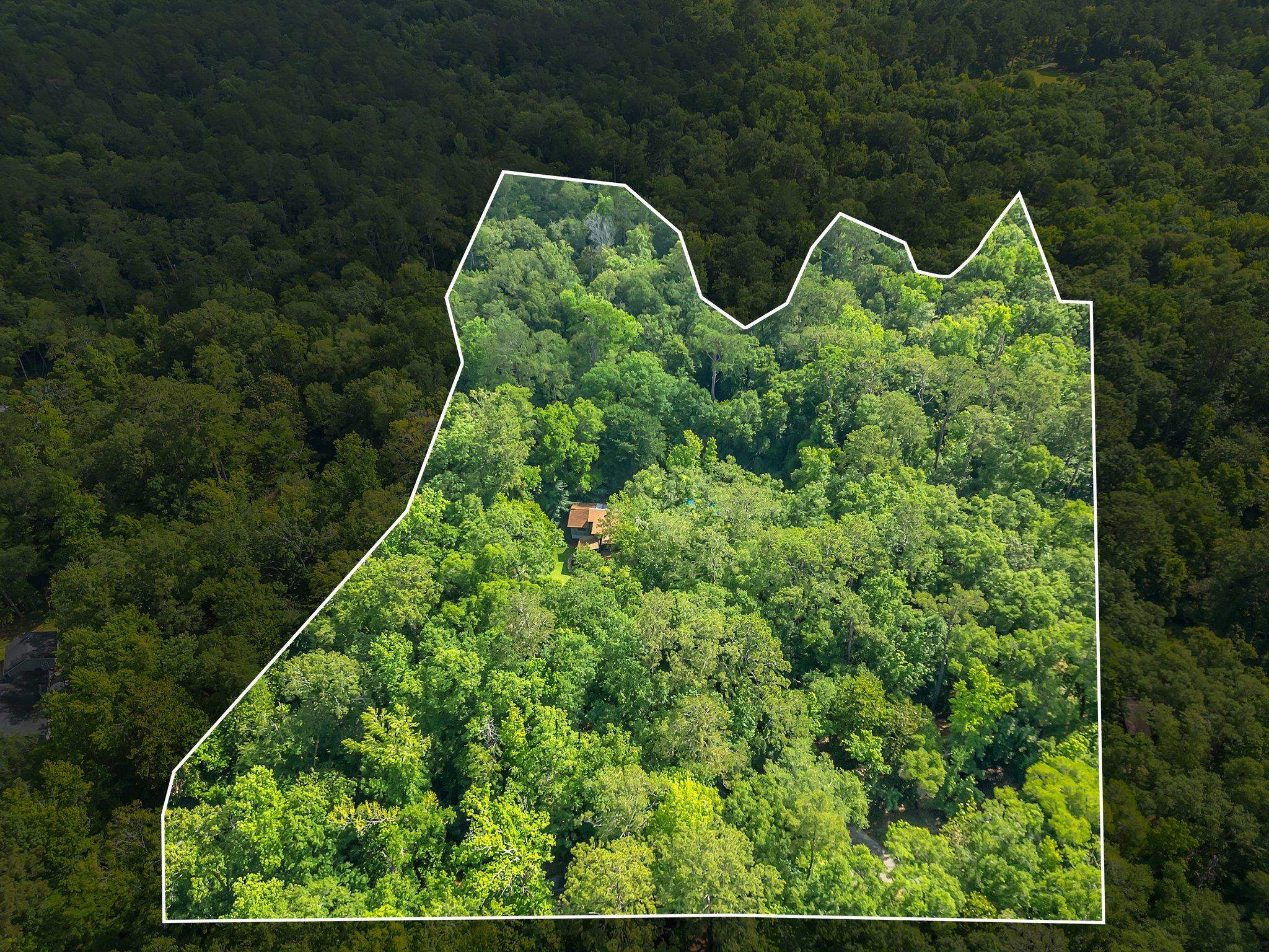988 Timber Run, Havana, Florida image 42